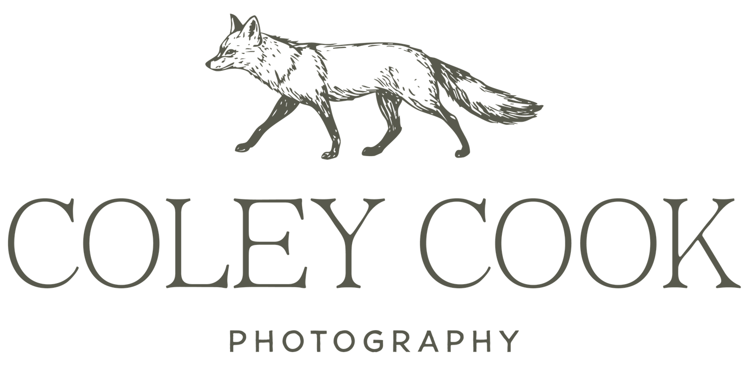 Coley Cook Photography logo featuring an illustrated fox and elegant serif typography.