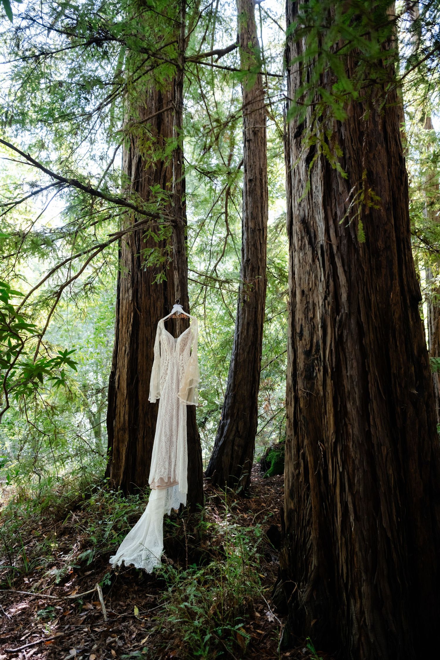 A delicate white lace wedding dress hangs elegantly among tall redwood trees in a forest setting.