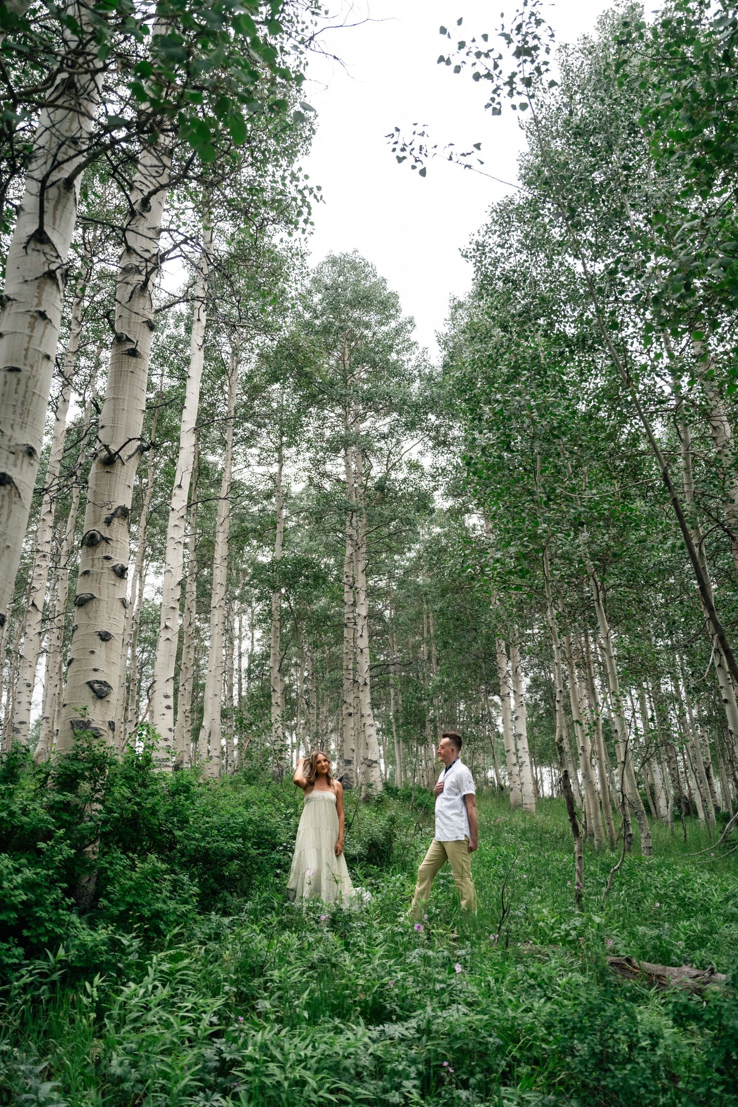 Two people in light clothing walk through a serene aspen grove with white tree trunks and lush green undergrowth.
