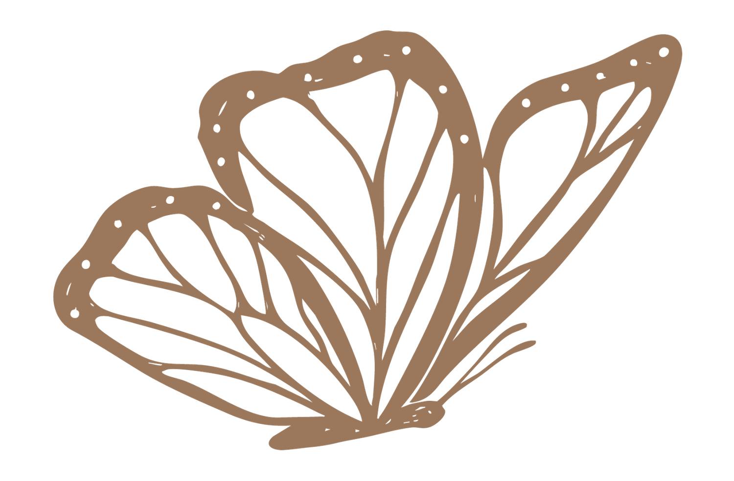 Elegant brown butterfly illustration with detailed wing patterns and delicate line art design.