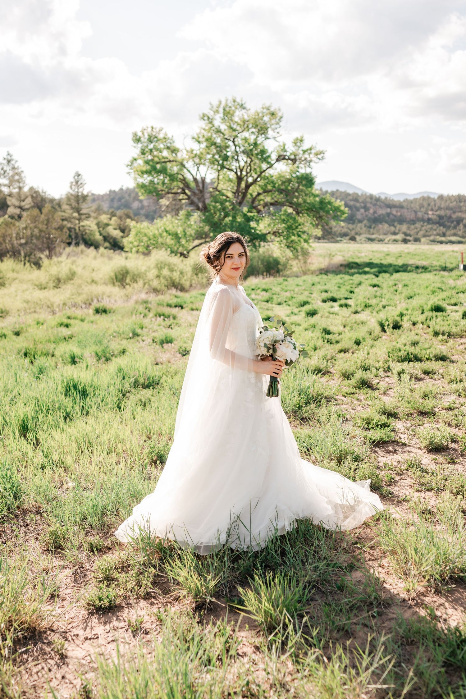 Flowing white wedding dress photographed against natural desert landscape.