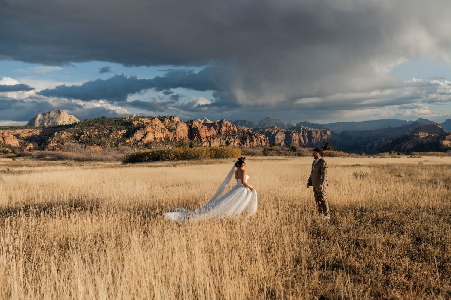 Dramatic mountain landscape with golden prairie grass and moody storm clouds at sunset.