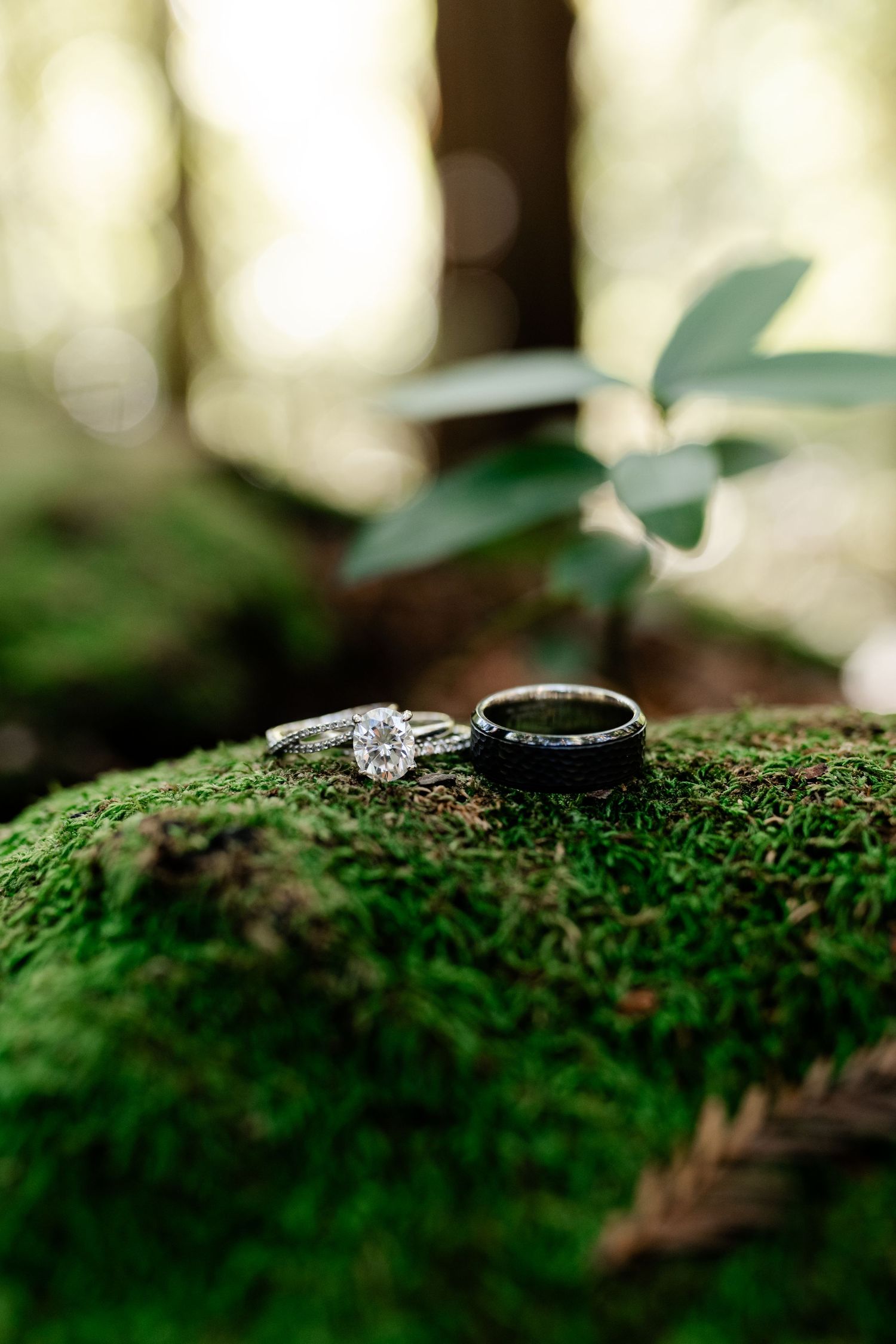 Wedding rings photographed on vibrant green moss in a nature setting.
