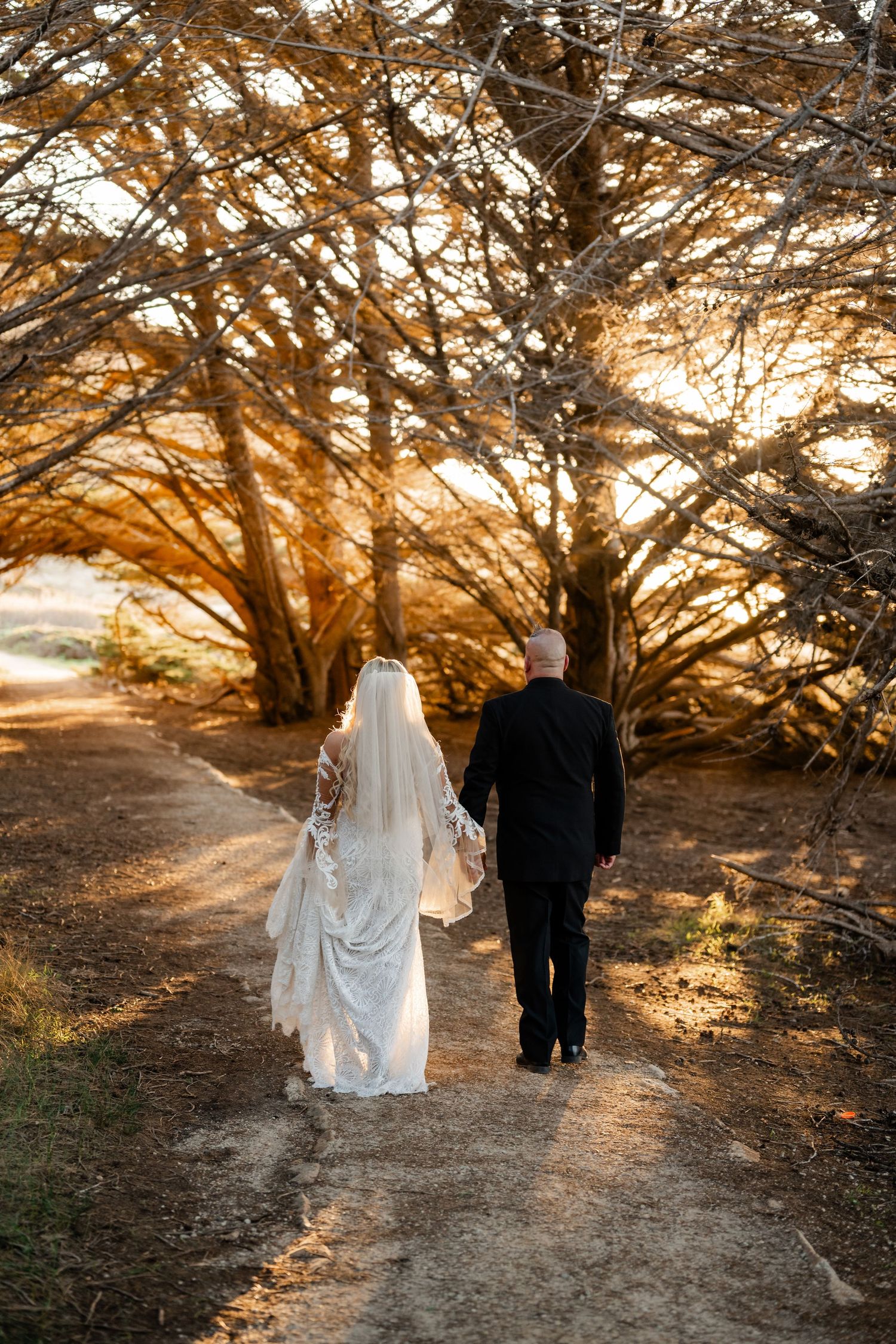 Wedding couple walking down a sunlit path under glowing cypress tree canopy.