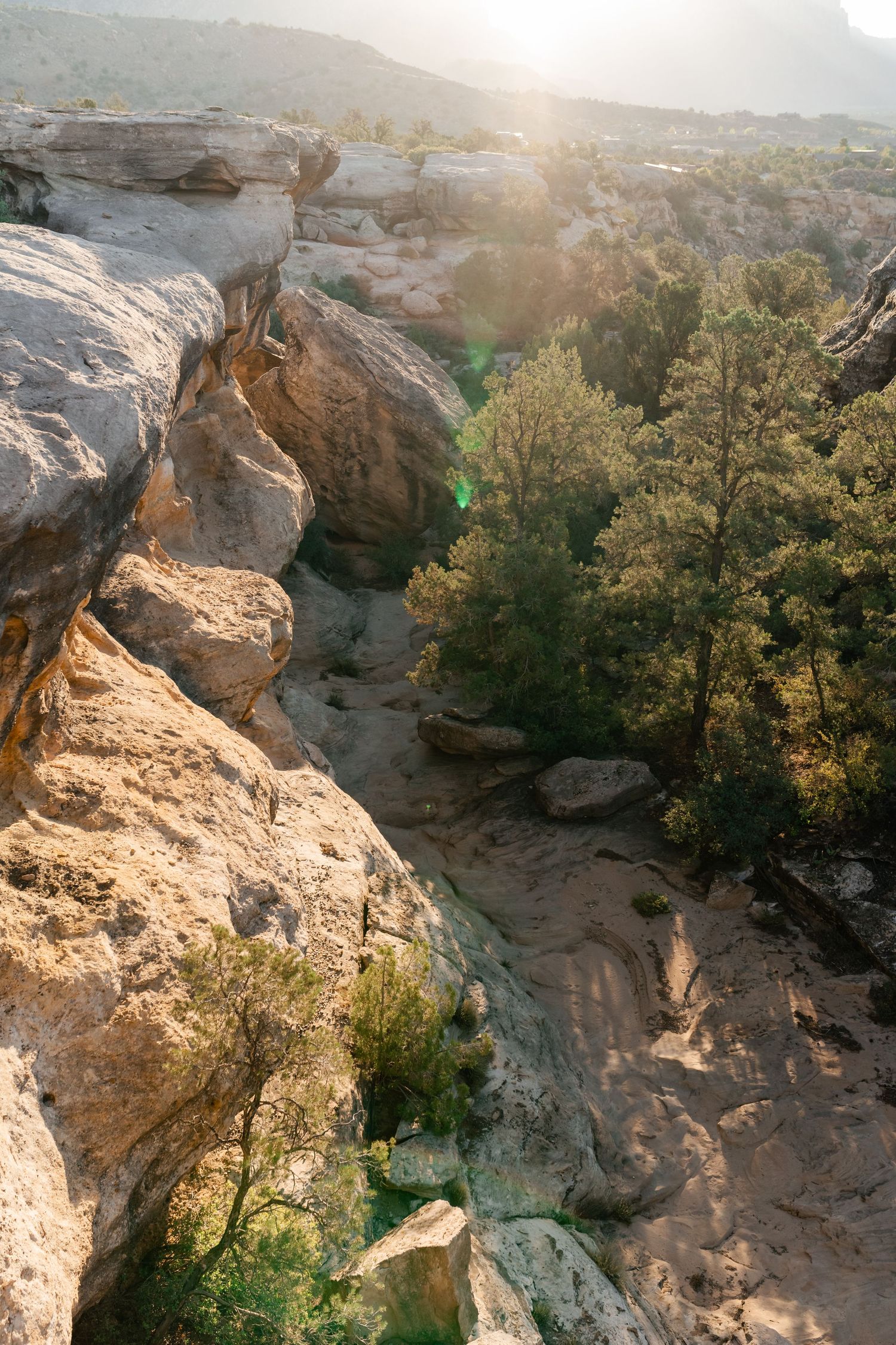 Zion Adventure Session. Scenic desert landscape with rocky cliffs and green trees under golden sunlight.