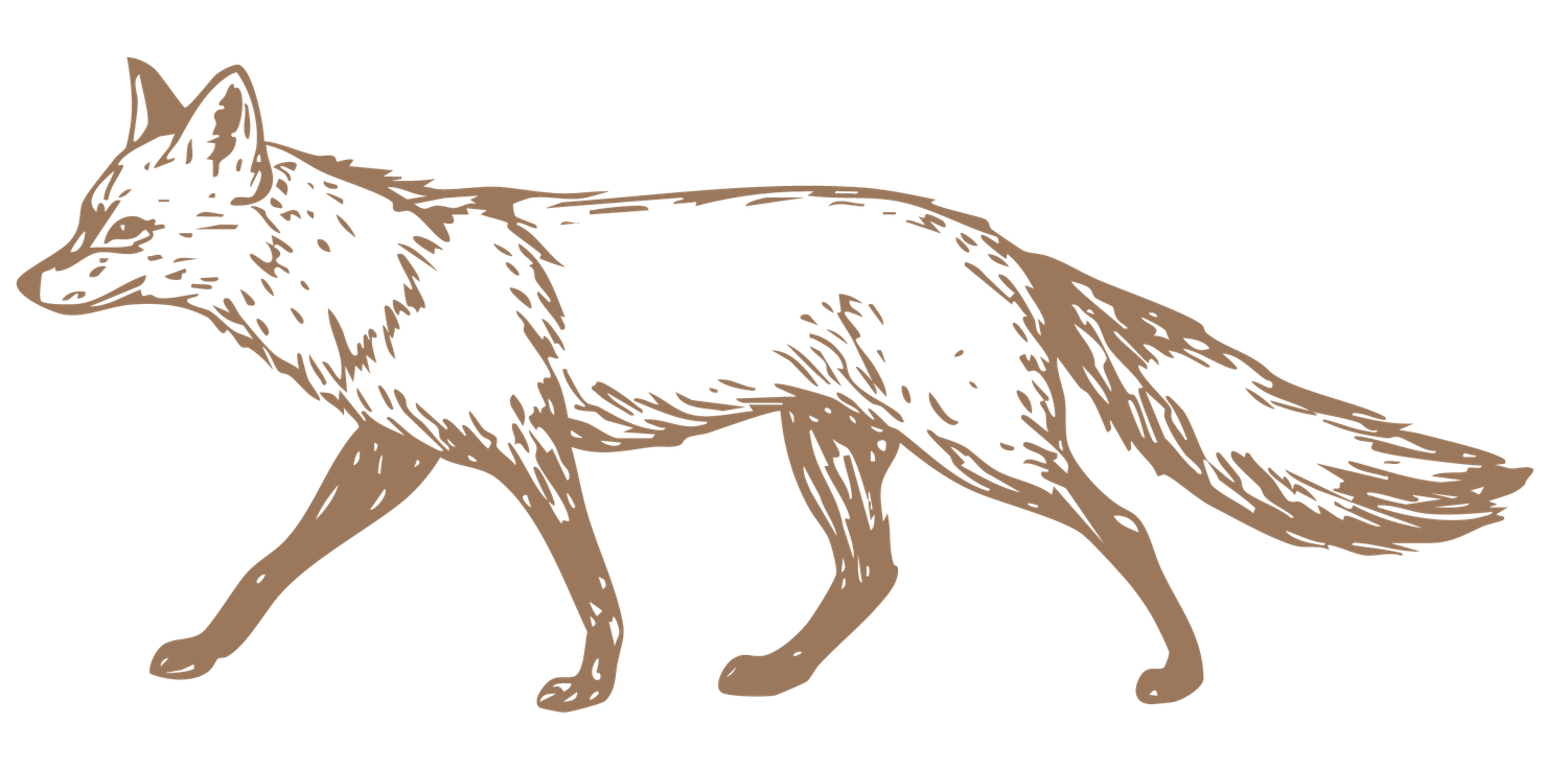 A detailed brown line drawing of a walking fox with a bushy tail, rendered in warm earthy tones. Utah elopement photographer Coley Cook.