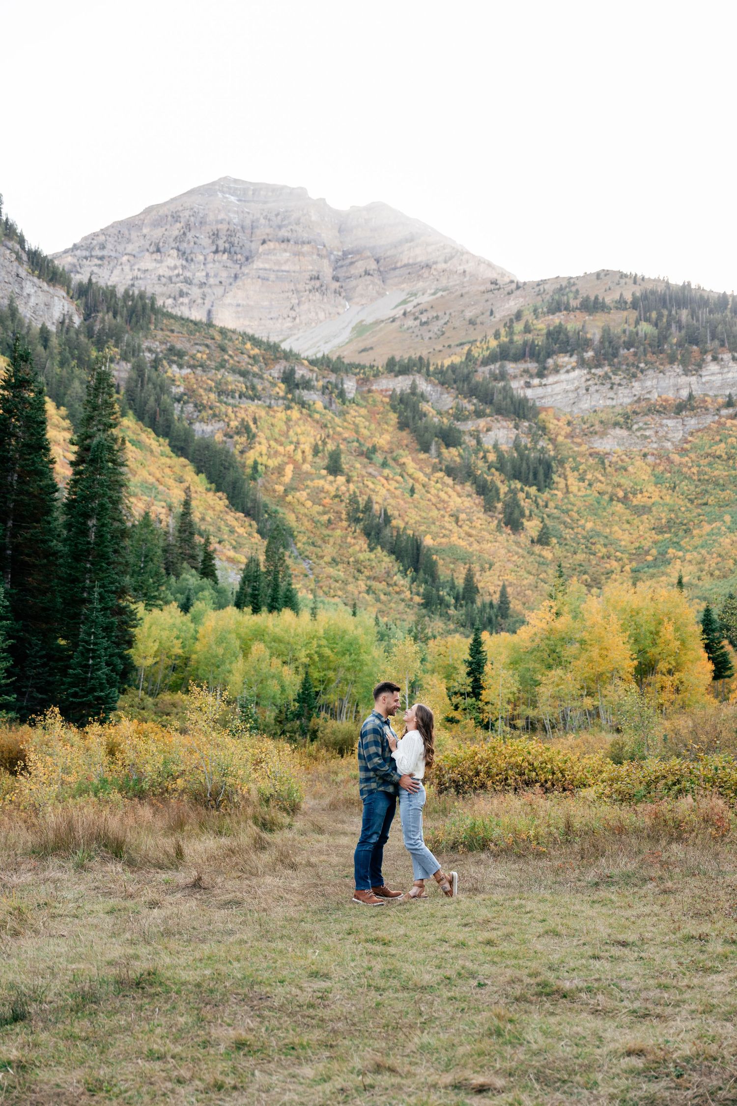 Scenic mountain landscape in autumn with evergreen forest and golden aspen trees in a meadow clearing.
