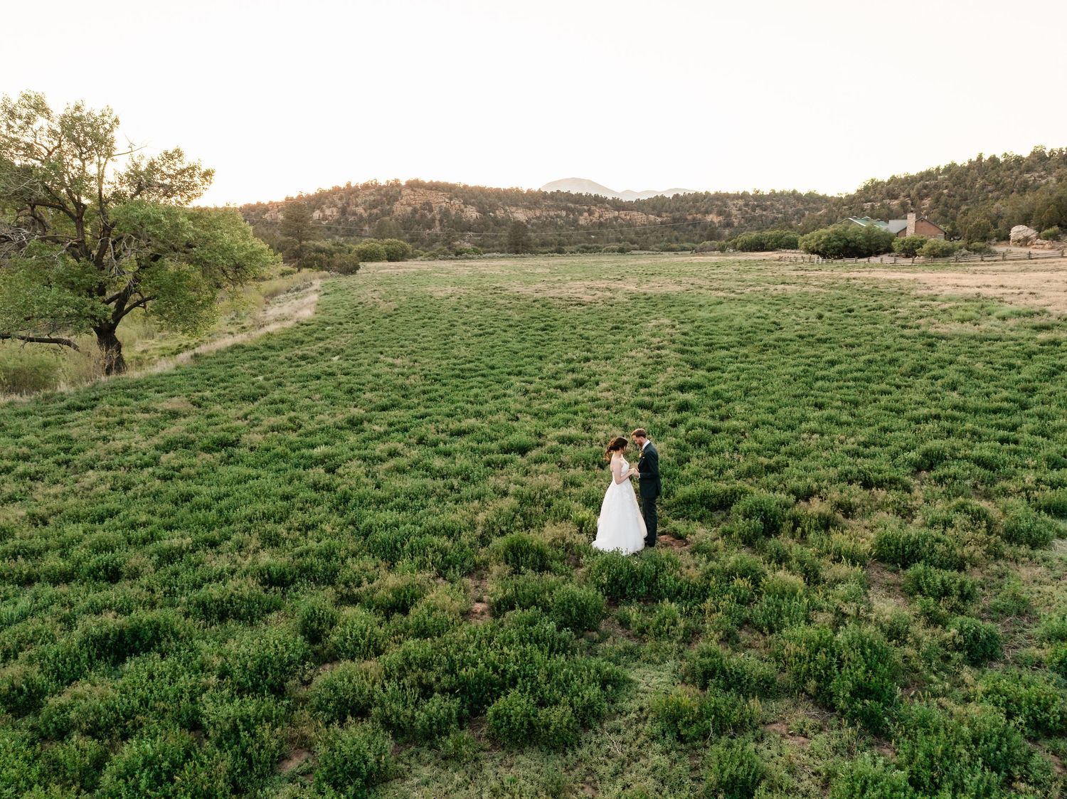 Panoramic view of newlyweds walking through a verdant field with mountains and trees in the background.