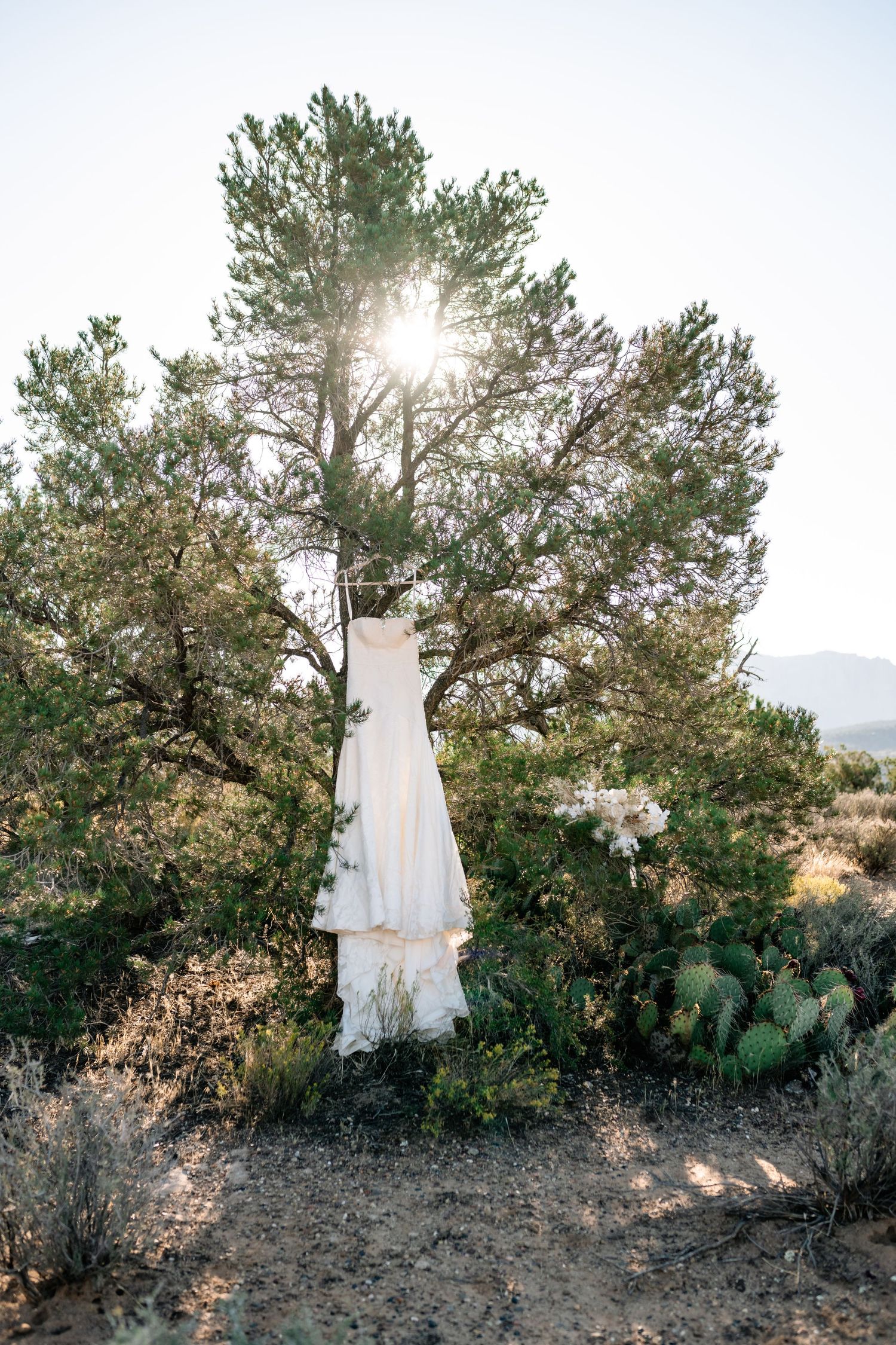 Bridal dress detail photograph of the bridal dress hanging in a desert tree.