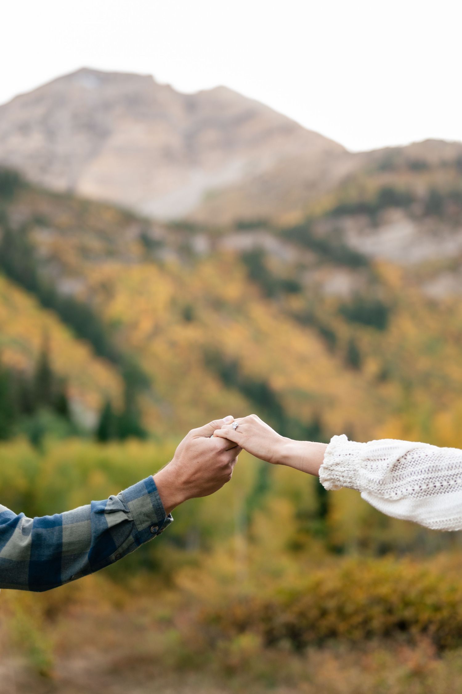 Two hands reaching out to hold each other against a backdrop of autumn mountains.