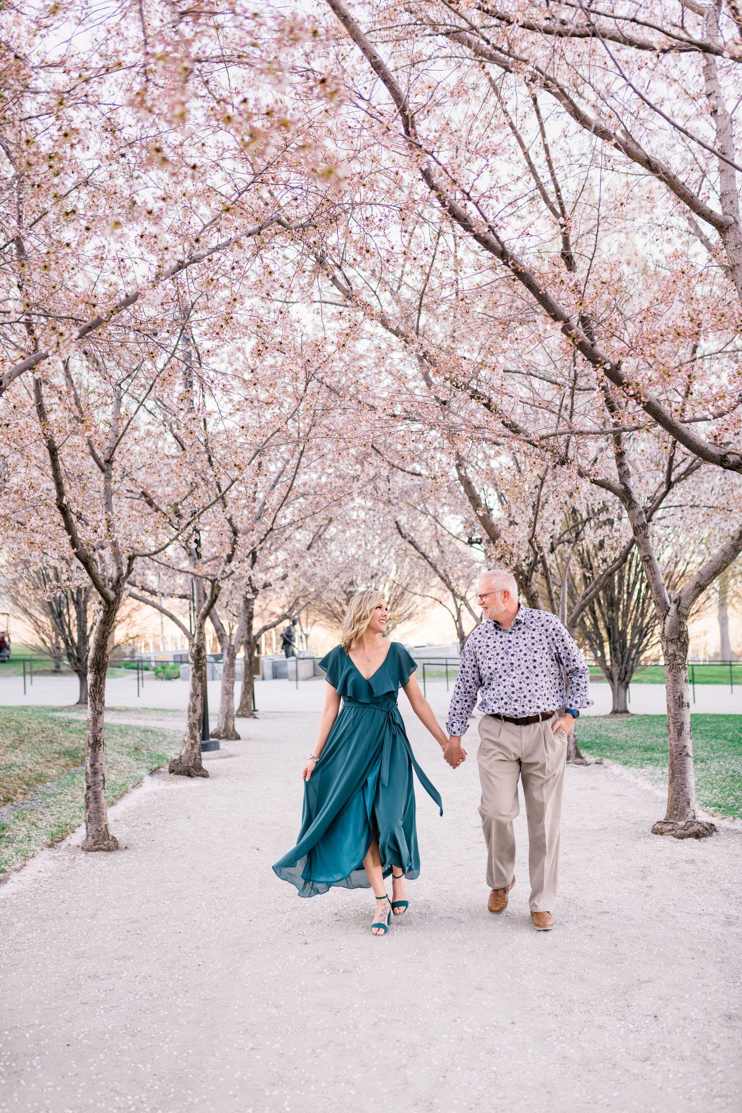 Engaged couple holding hands at the Capitol cherry blossoms by timeless wedding photographer Coley Cook