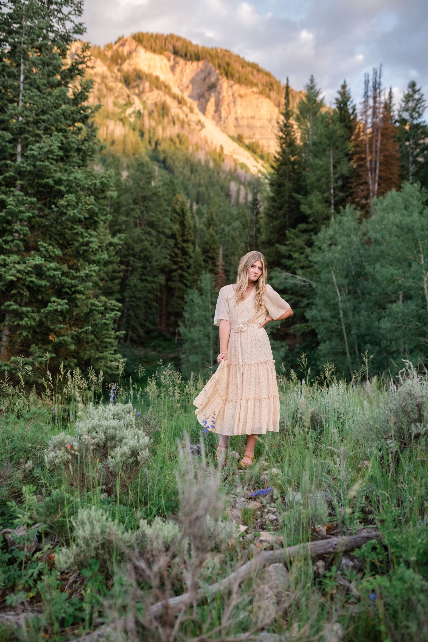 A series of outdoor photos showing a peaceful mountain meadow with wildflowers and evergreen trees at sunset.