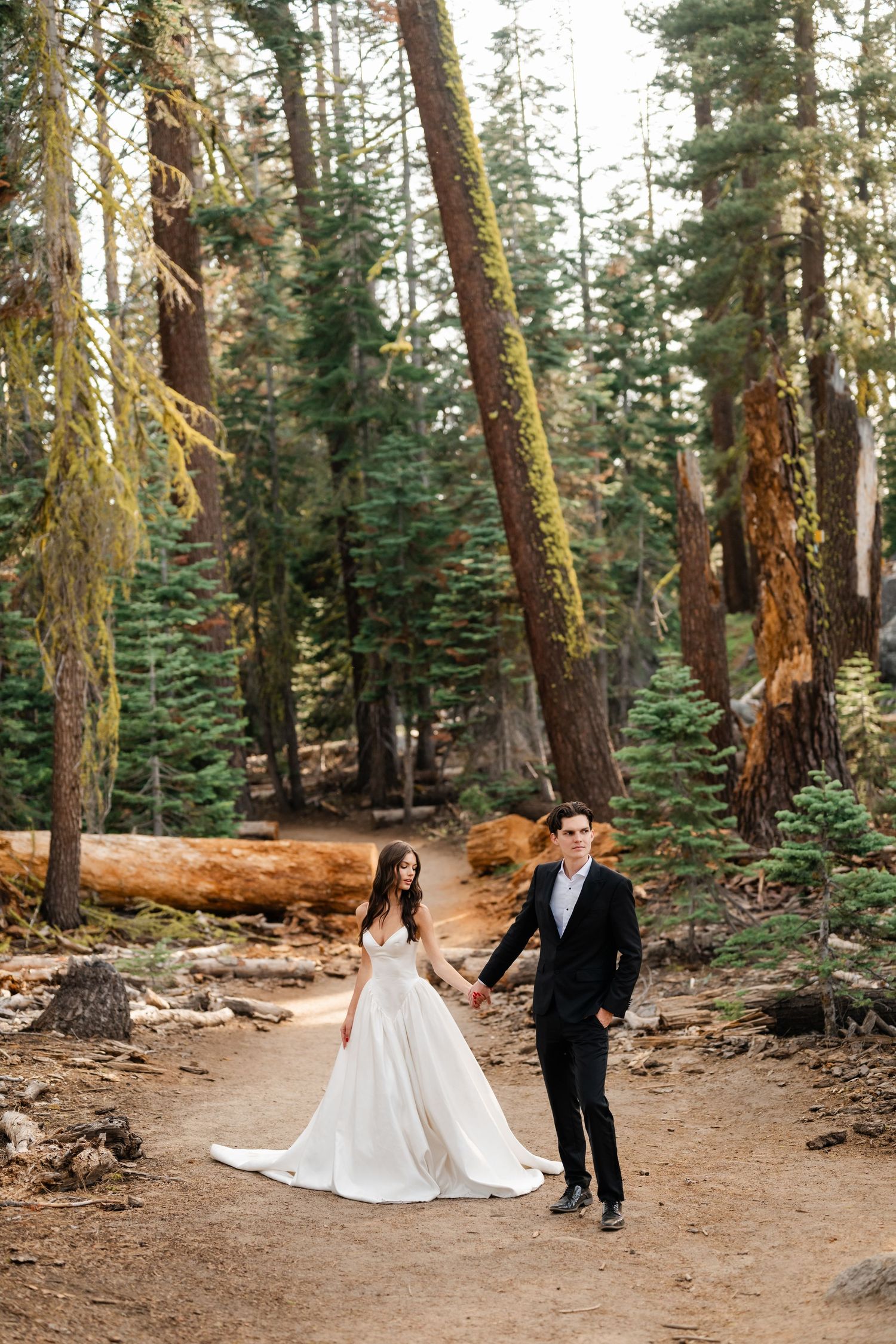 Bride in white gown and groom in black suit hold hands walking on a forest path among tall pine trees.