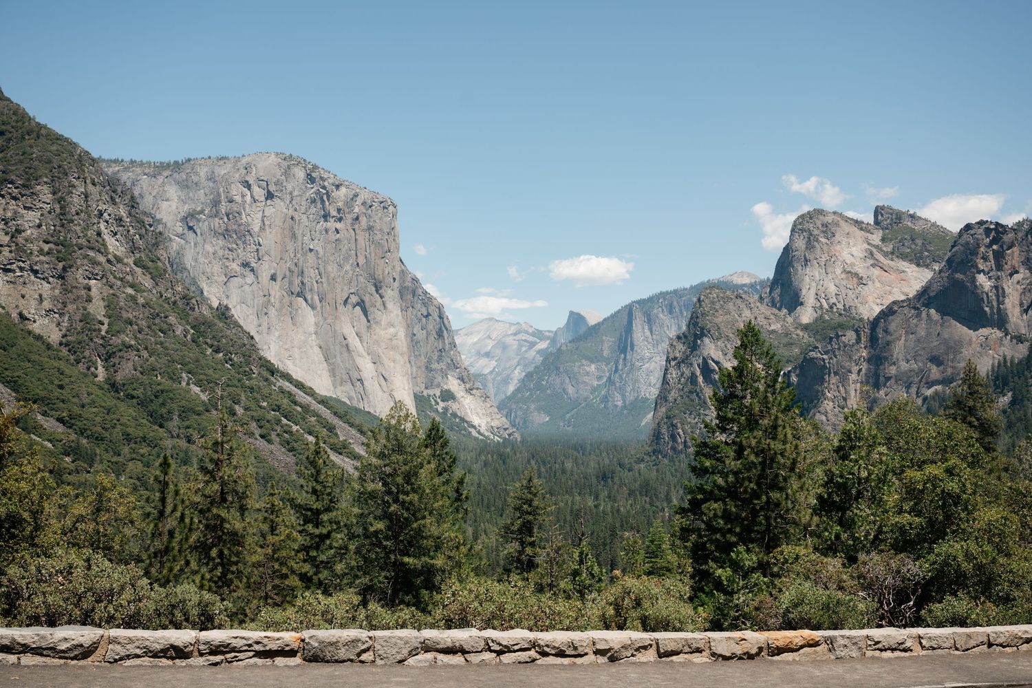 Panoramic view of Yosemite Valley with El Capitan and Half Dome surrounded by pine trees under a clear blue sky.
