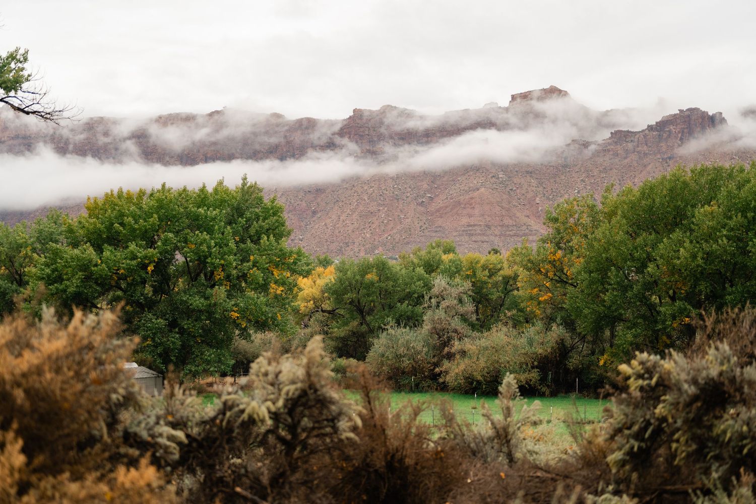 Misty mountain landscape with green vegetation and cloudy skies.