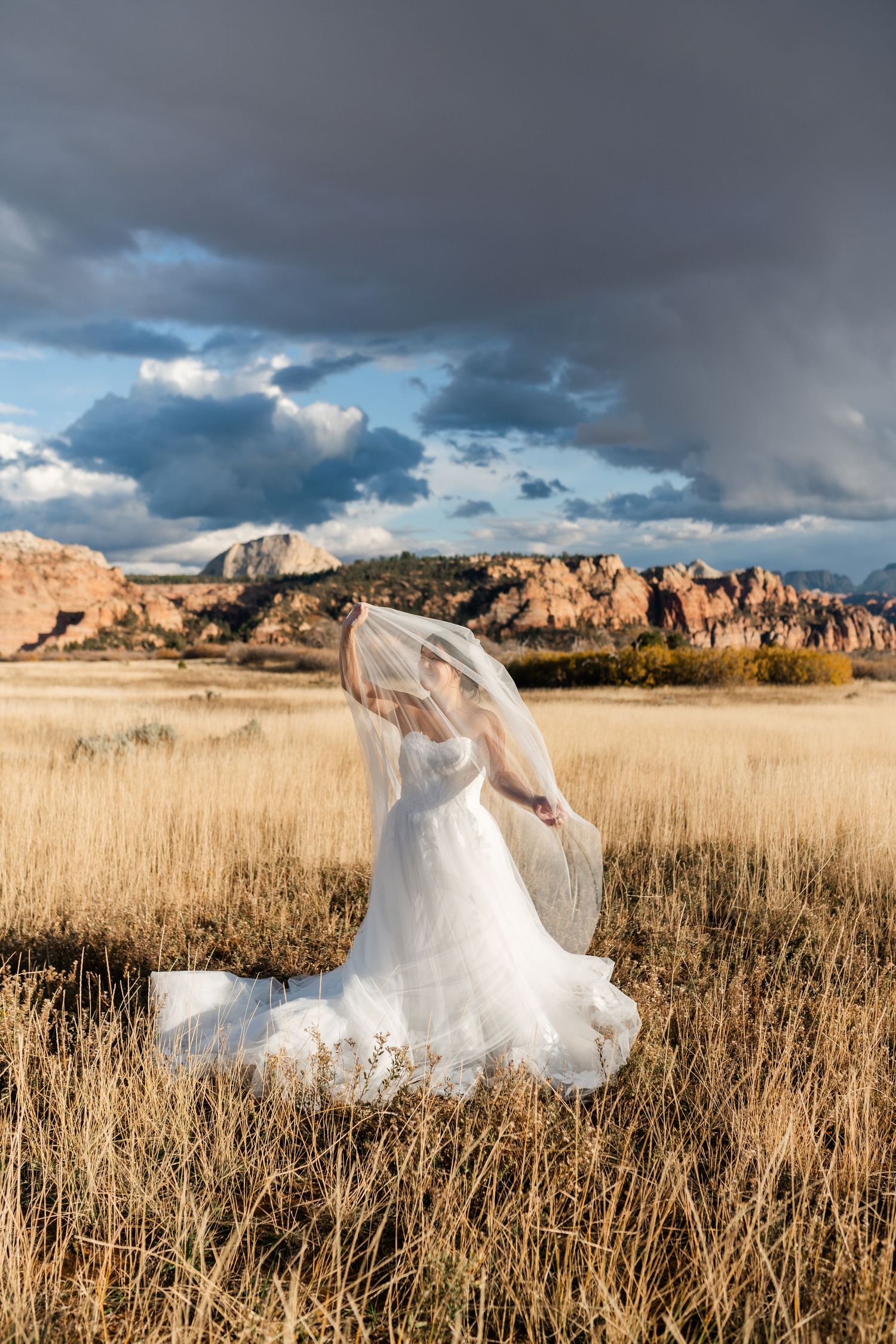 A dramatic wedding dress flows in the wind against stormy skies and mountain backdrop.