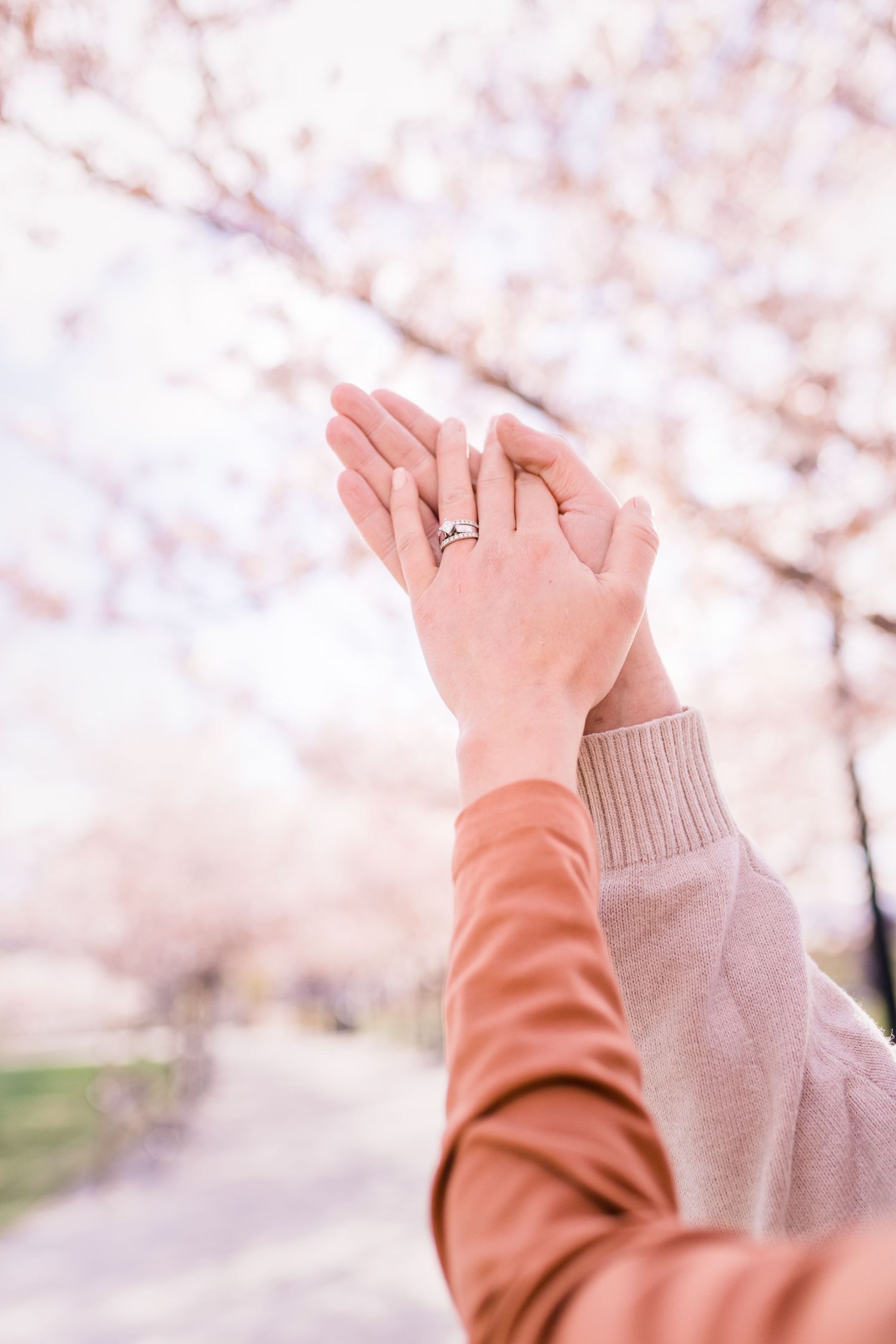 detail ring shot of couples holding hands under the blossoms by utah wedding photographer