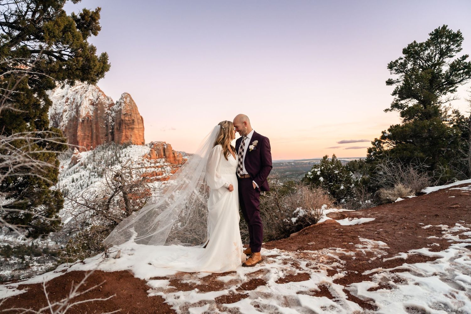 Panoramic wedding photography with snow-dusted mountains and desert landscape.