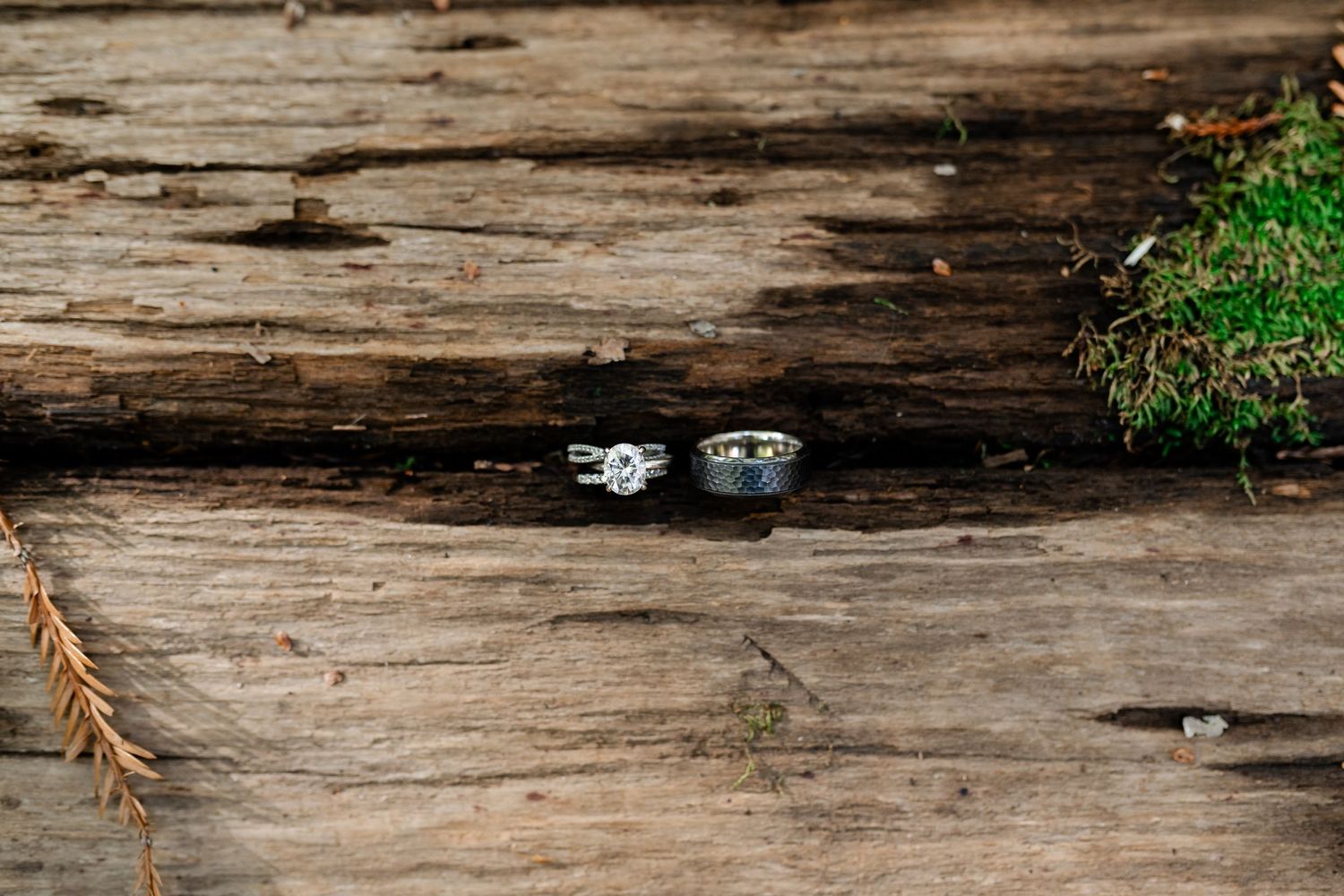 Weathered wooden log with natural cracks and textures lies against a green foliage background.