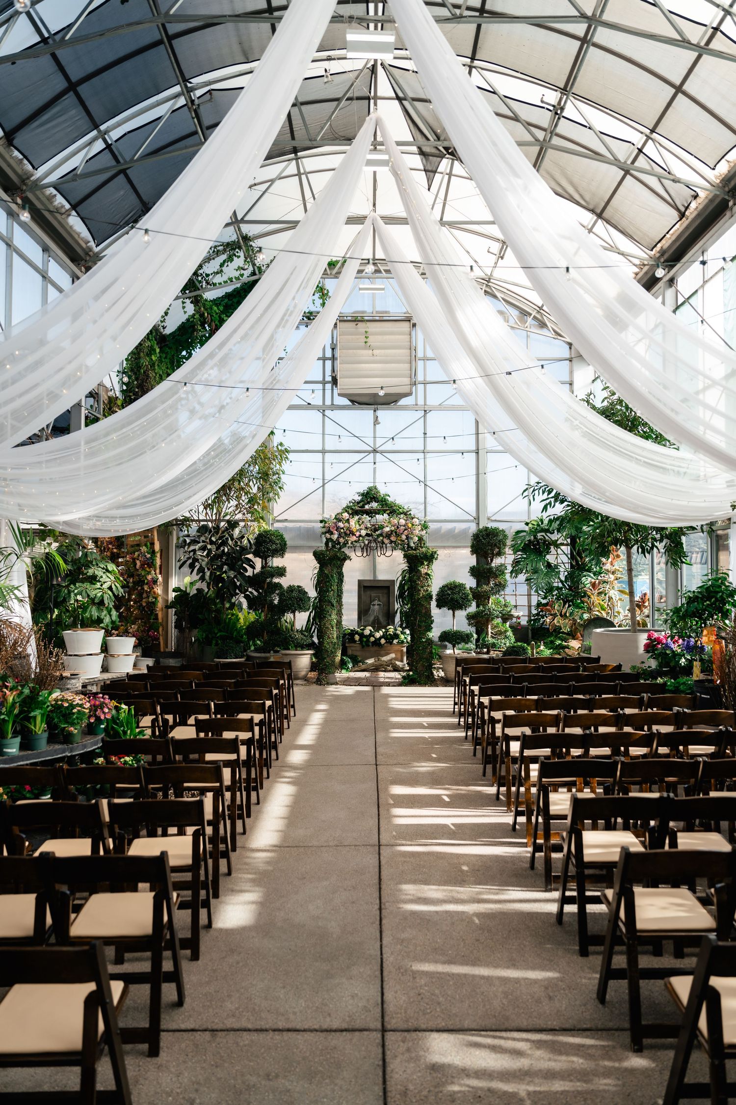 White draped fabric and lush greenery decorate a greenhouse wedding venue with rows of wooden chairs.