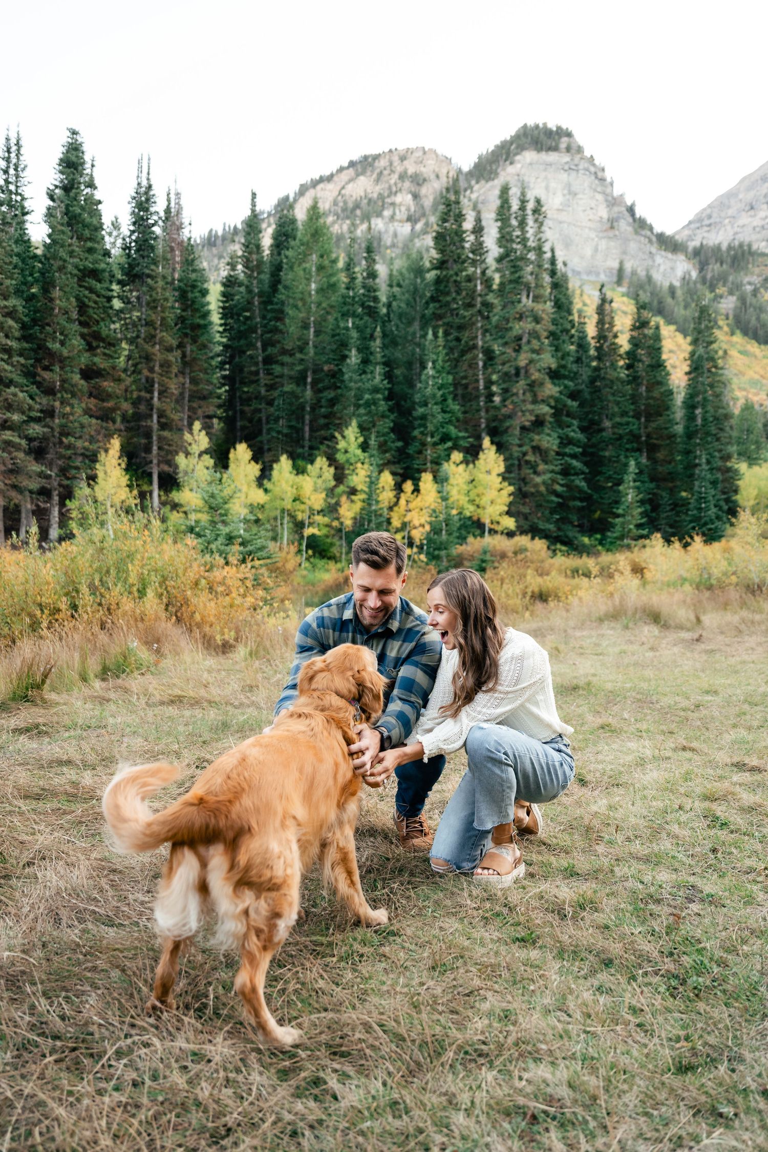 Golden retriever playing with couple in mountain meadow surrounded by evergreen trees and fall colors.