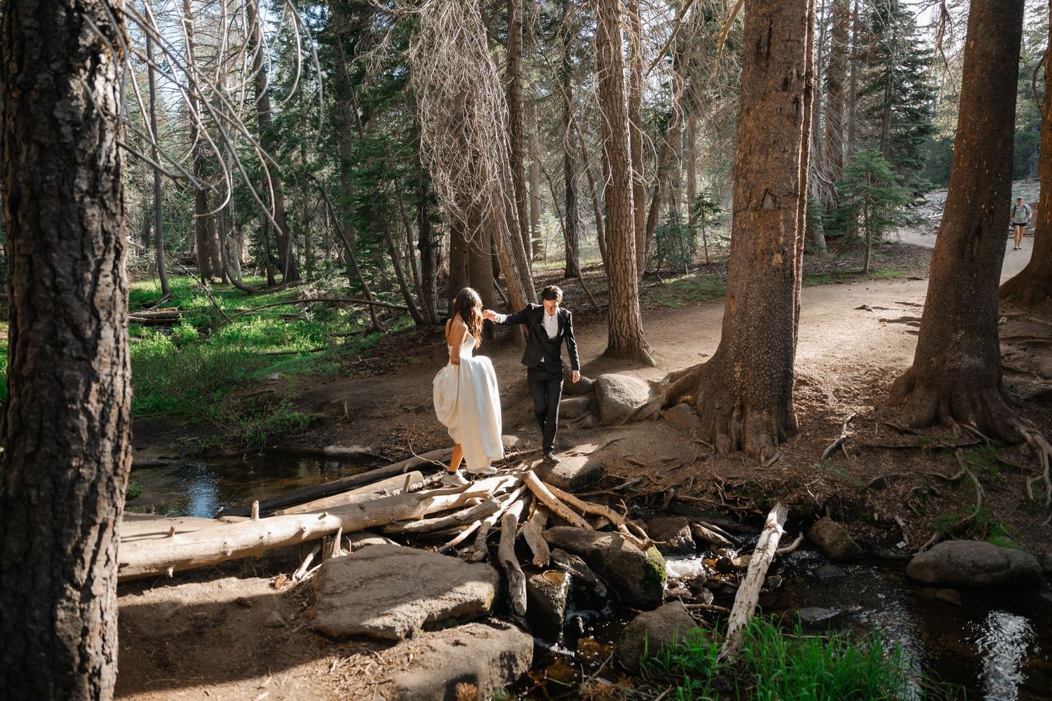 Bride and groom walk through a sunlit forest near a creek, surrounded by tall pine trees during their outdoor wedding.