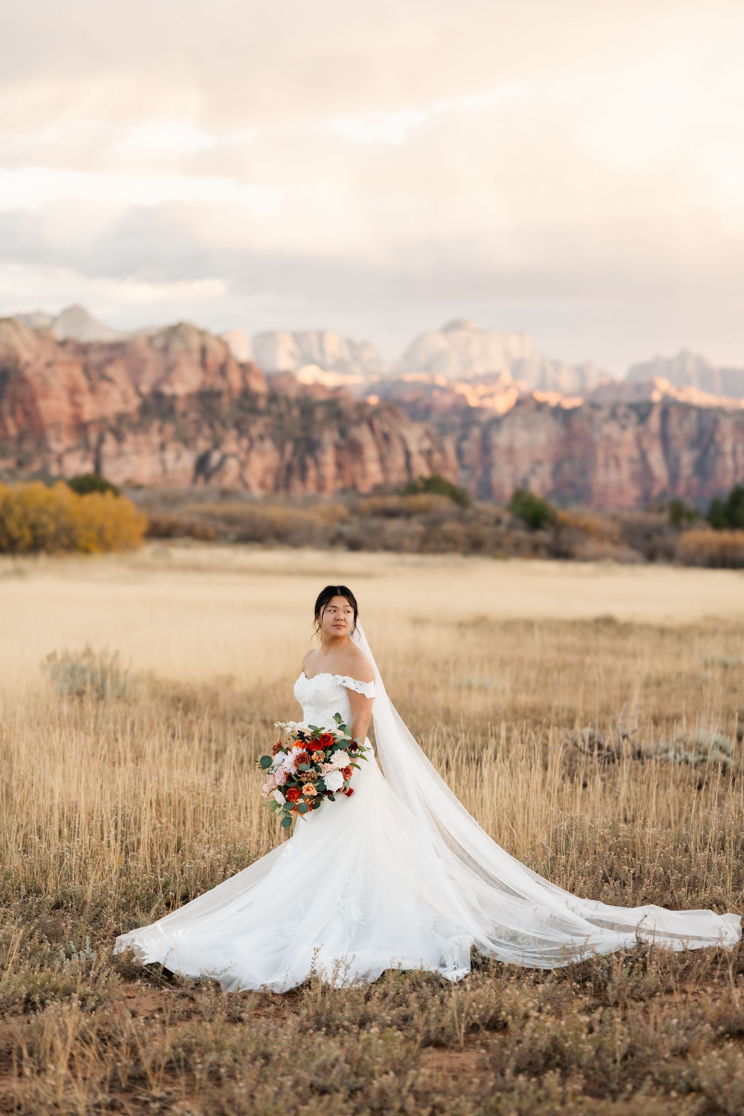Wedding dress and veil flow gracefully in desert field with red rock formations and mountains in background.