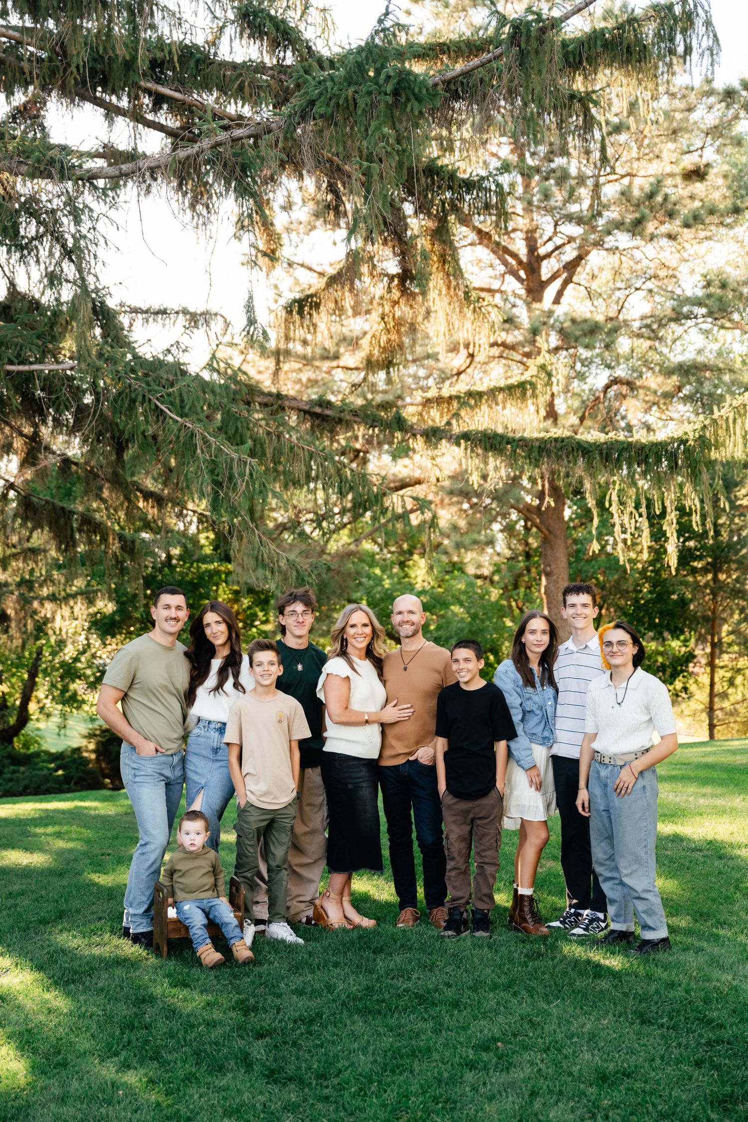 A large family group poses together on green grass under evergreen trees during a sunny outdoor photo session.
