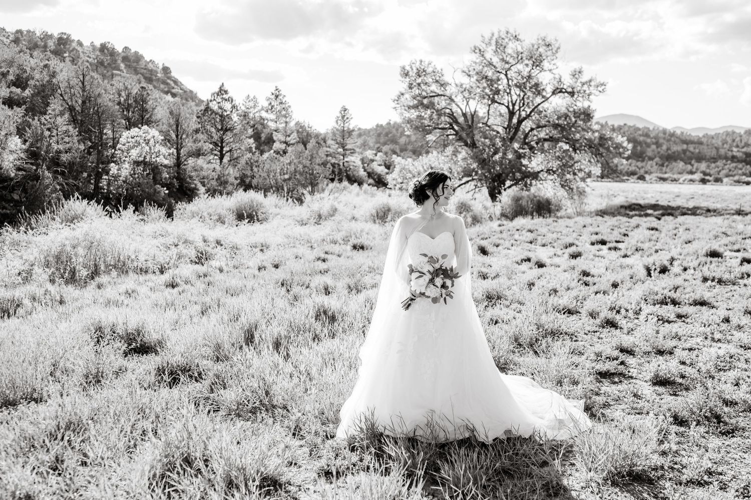 A black and white portrait of a bride in a flowing gown standing in a desert landscape.