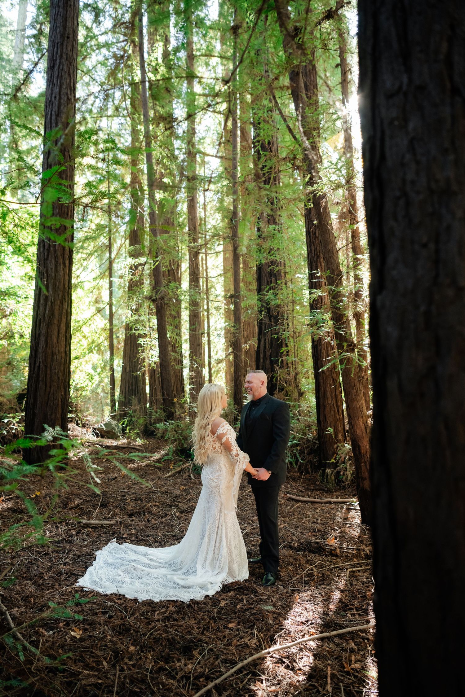 Towering redwood trees create natural cathedral-like setting in forest.