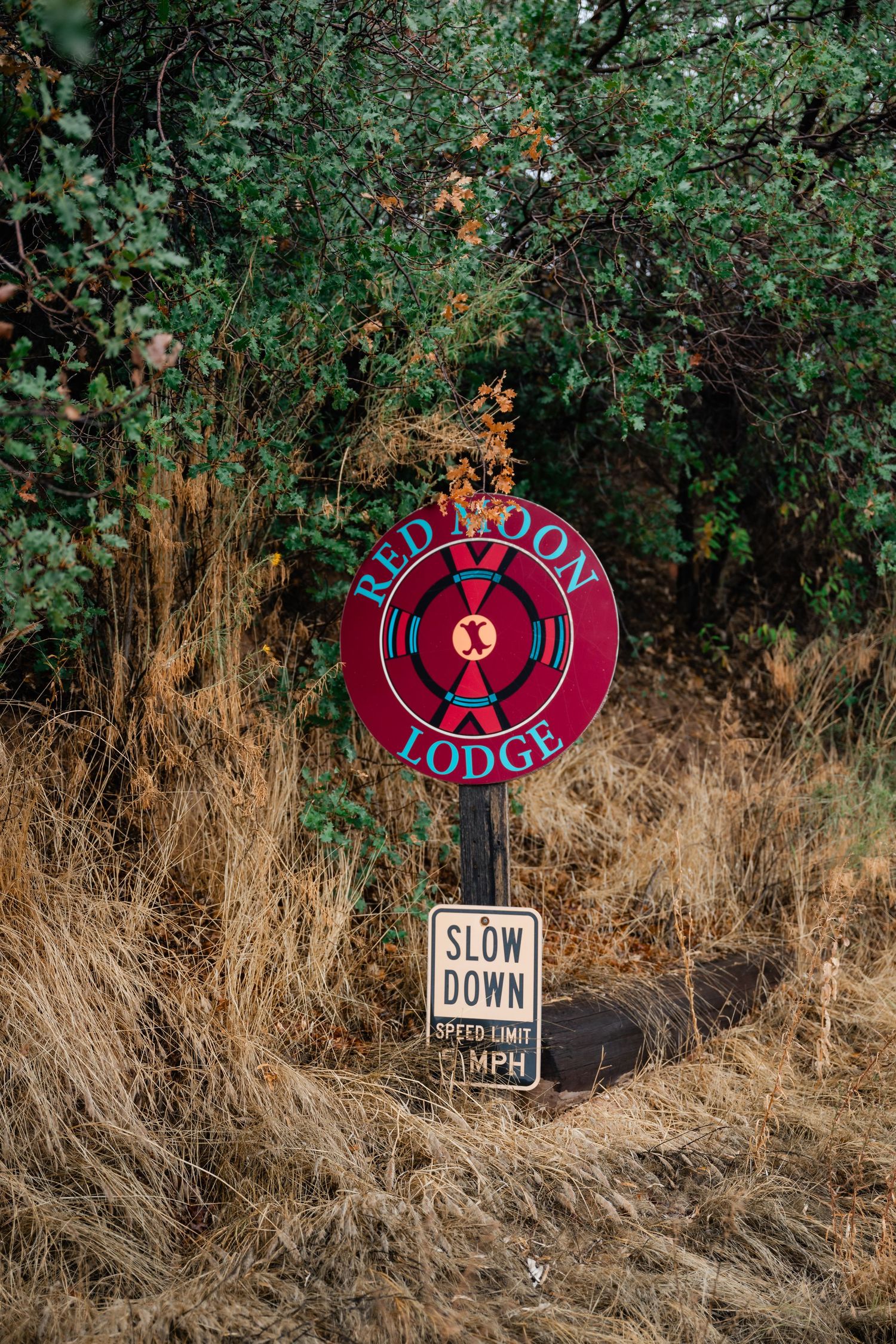 Red 'Slow Down' lodge signs posted along a grassy path with green foliage in the background.