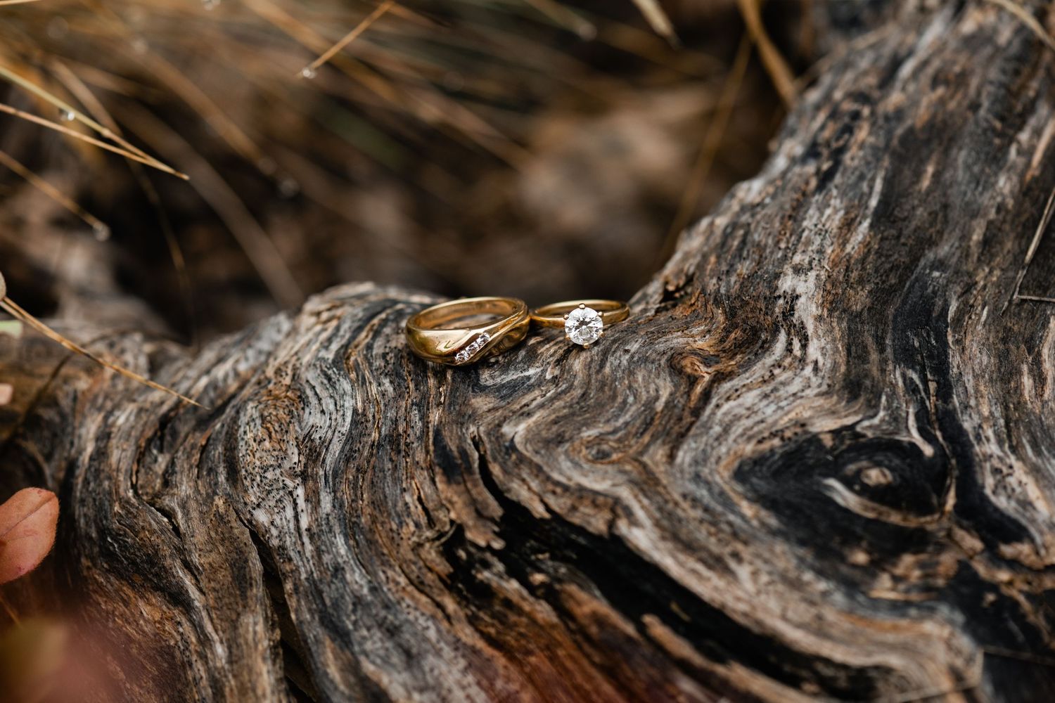 Close-up macro shot of wedding rings resting on textured wood with natural grain patterns.