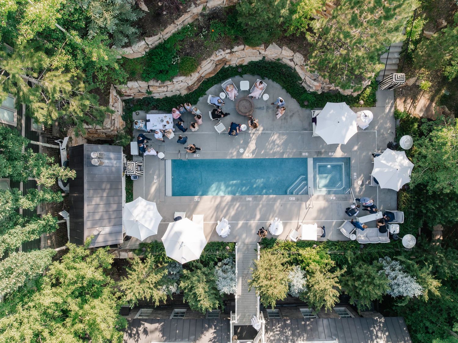 Aerial drone view of a backyard swimming pool surrounded by lush landscaping and trees in a residential setting.