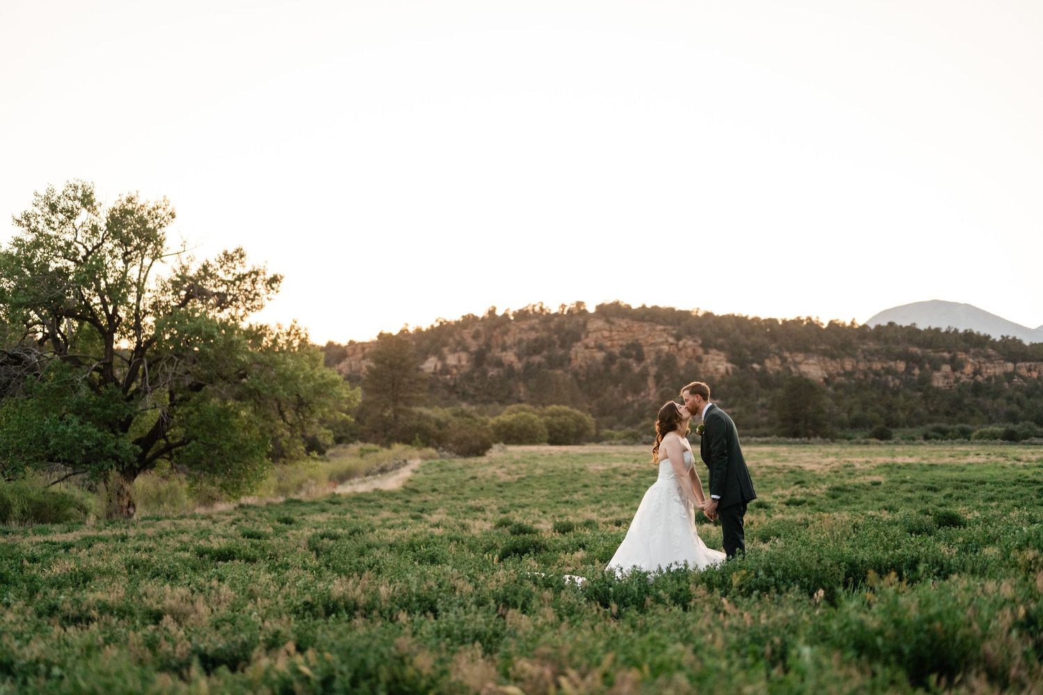 Wedding couple walking through a serene meadow with mountains and trees in the background.