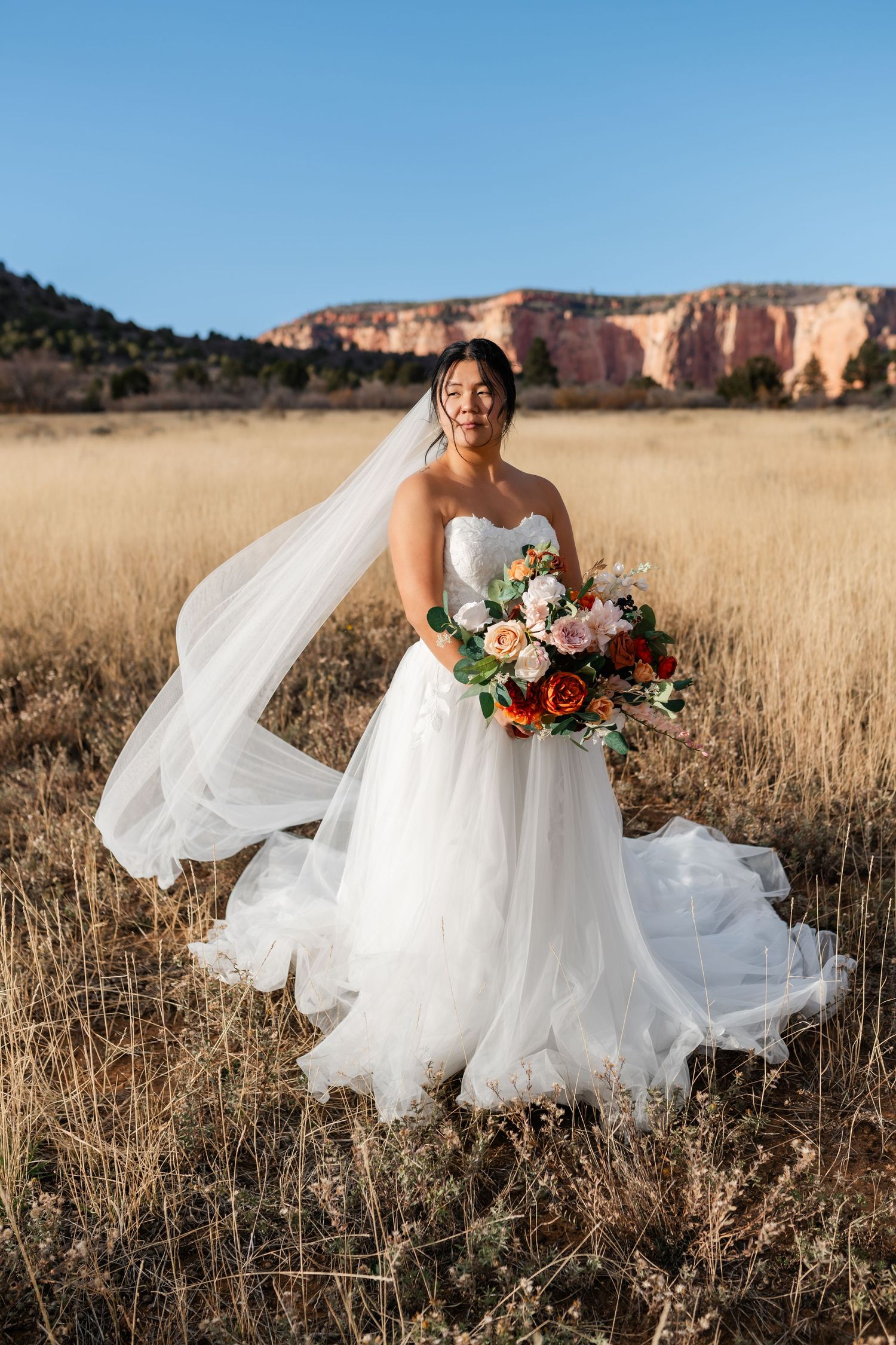 A bride in a flowing white dress twirls in a field with red rock formations behind.