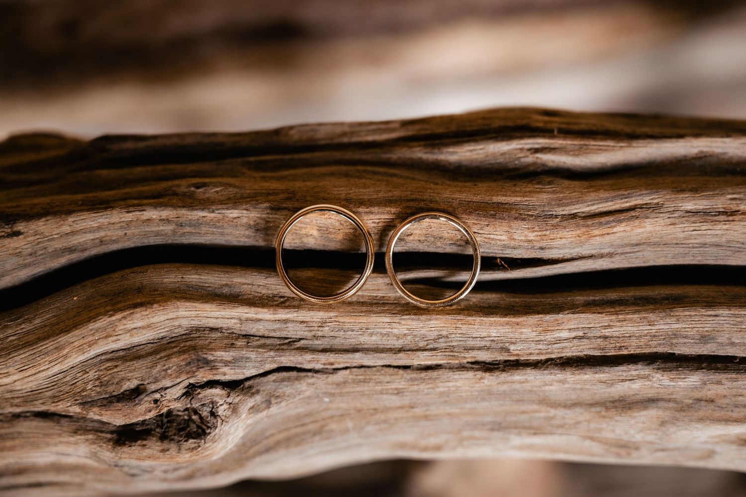 Two wedding rings photographed on weathered driftwood with natural lighting.