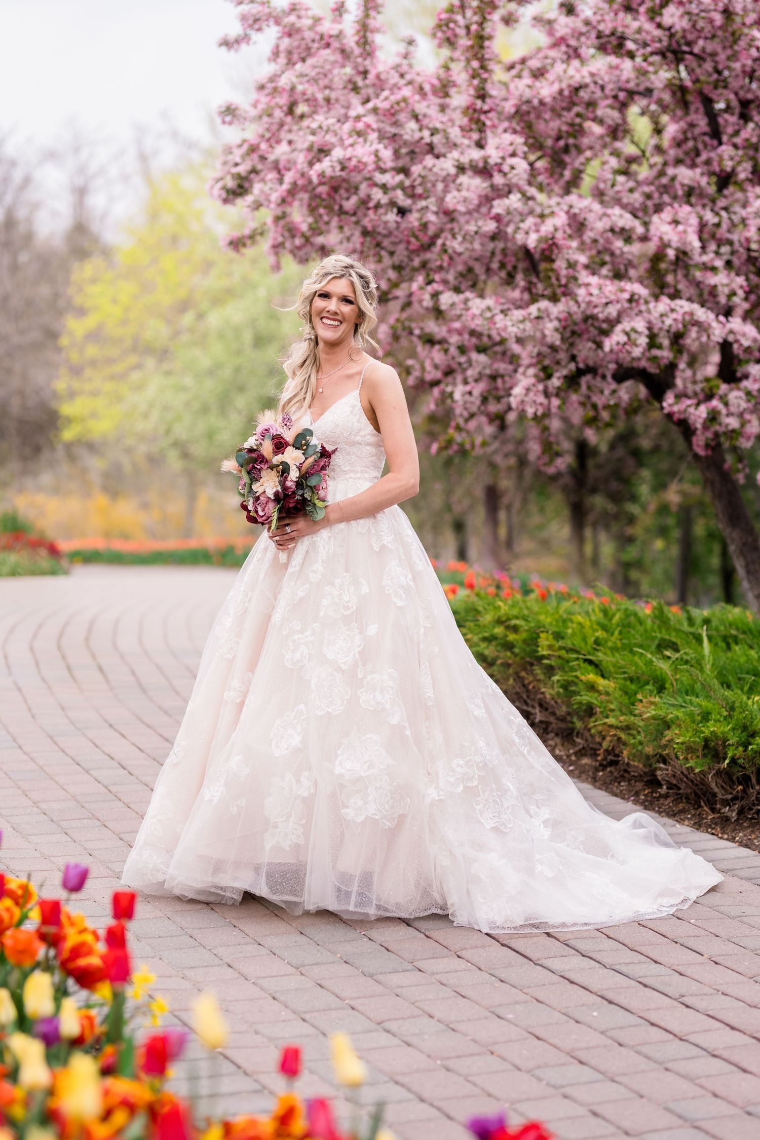 Beautiful spring wedding scene with white lace gown against blooming cherry blossoms and colorful tulip garden. Ashton Gardens.