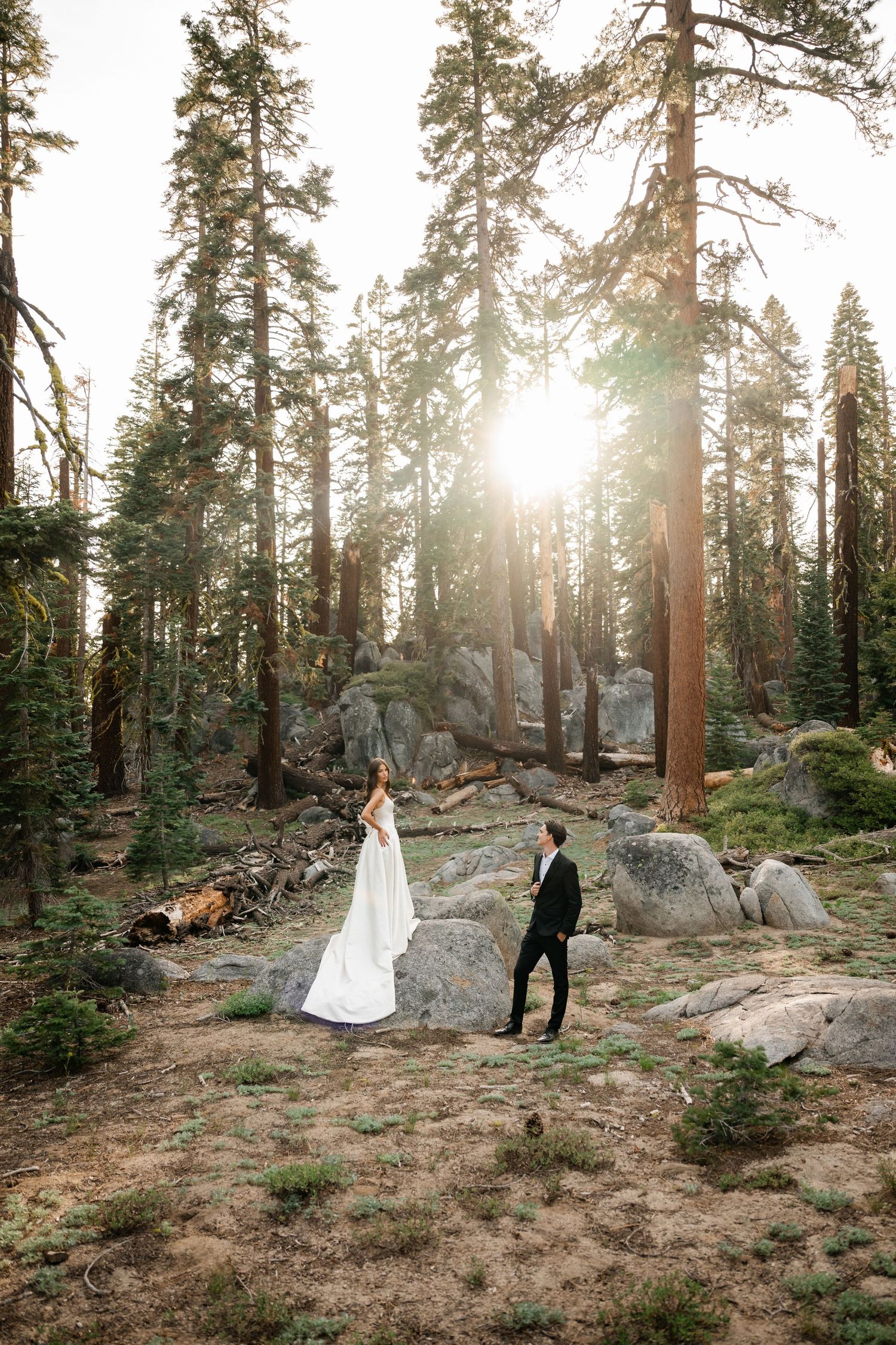 Bride and groom walk among tall pine trees and boulders with golden sunlight streaming through the forest.