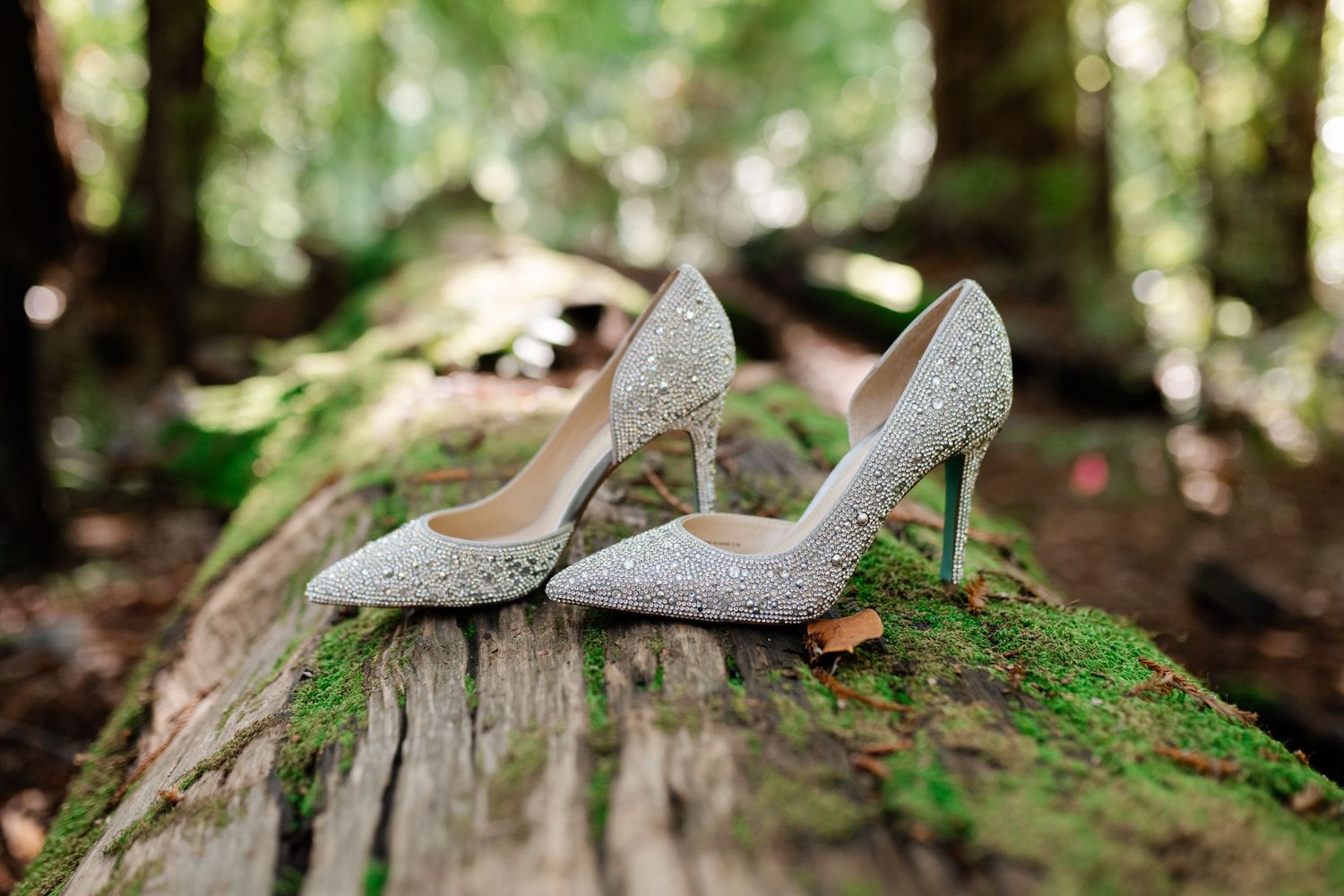 Sparkly silver high heel wedding shoes displayed on mossy tree stump in enchanted forest setting.