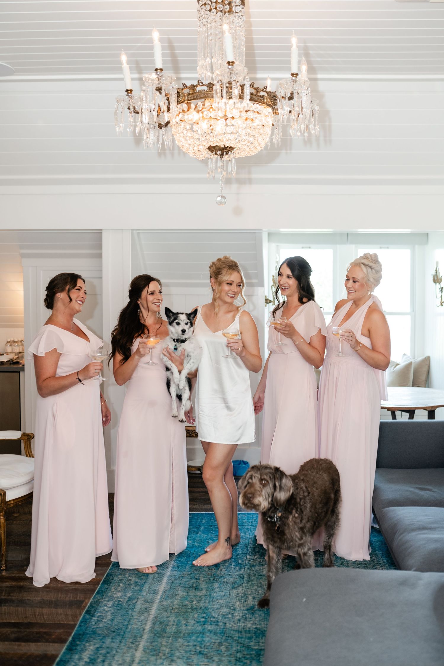 Bride in white robe with bridesmaids in blush pink gowns holding champagne with two dogs while getting ready in the Washington School House.