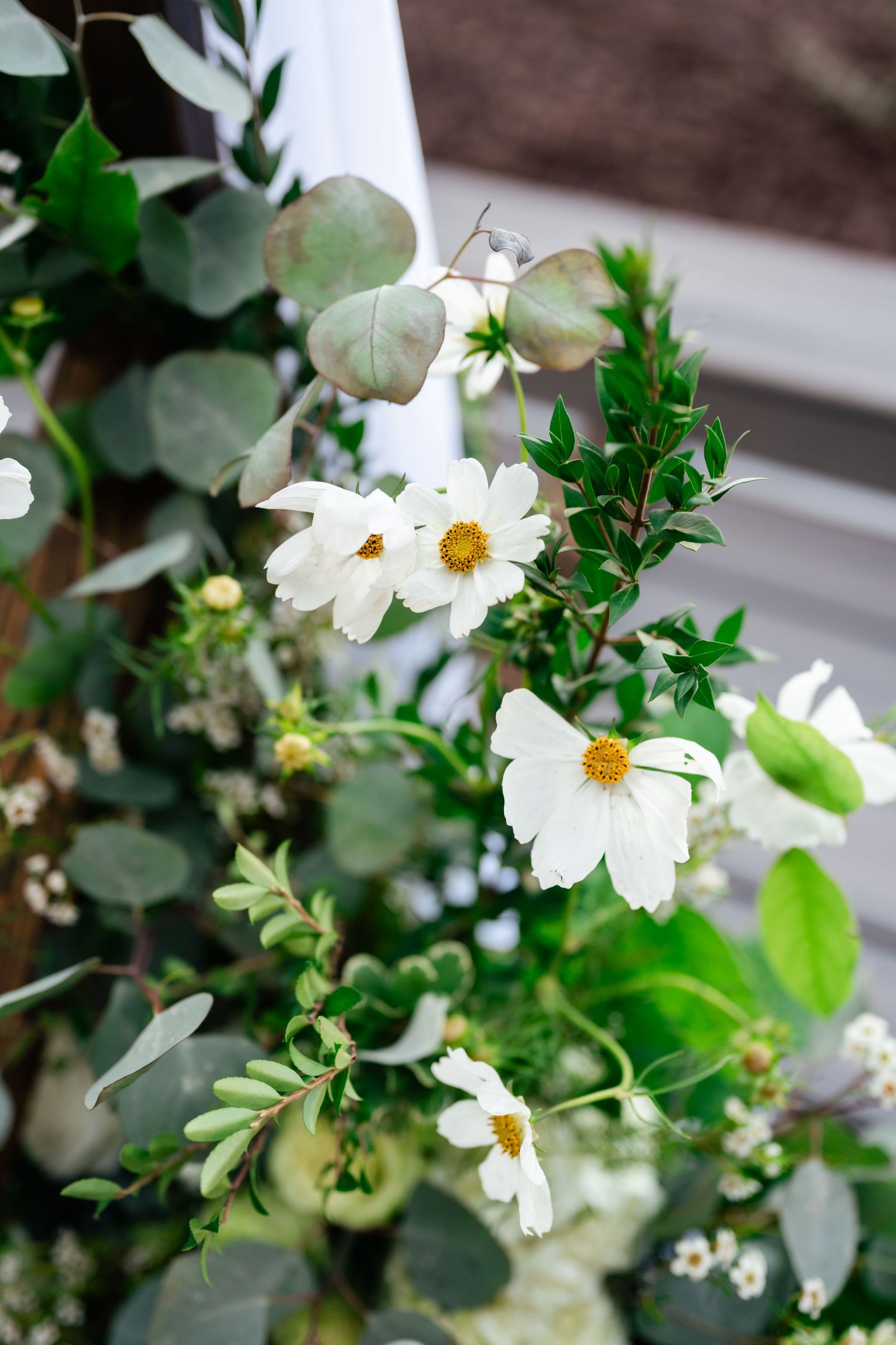 White flowers with yellow centers bloom among green foliage on a wooden deck railing.