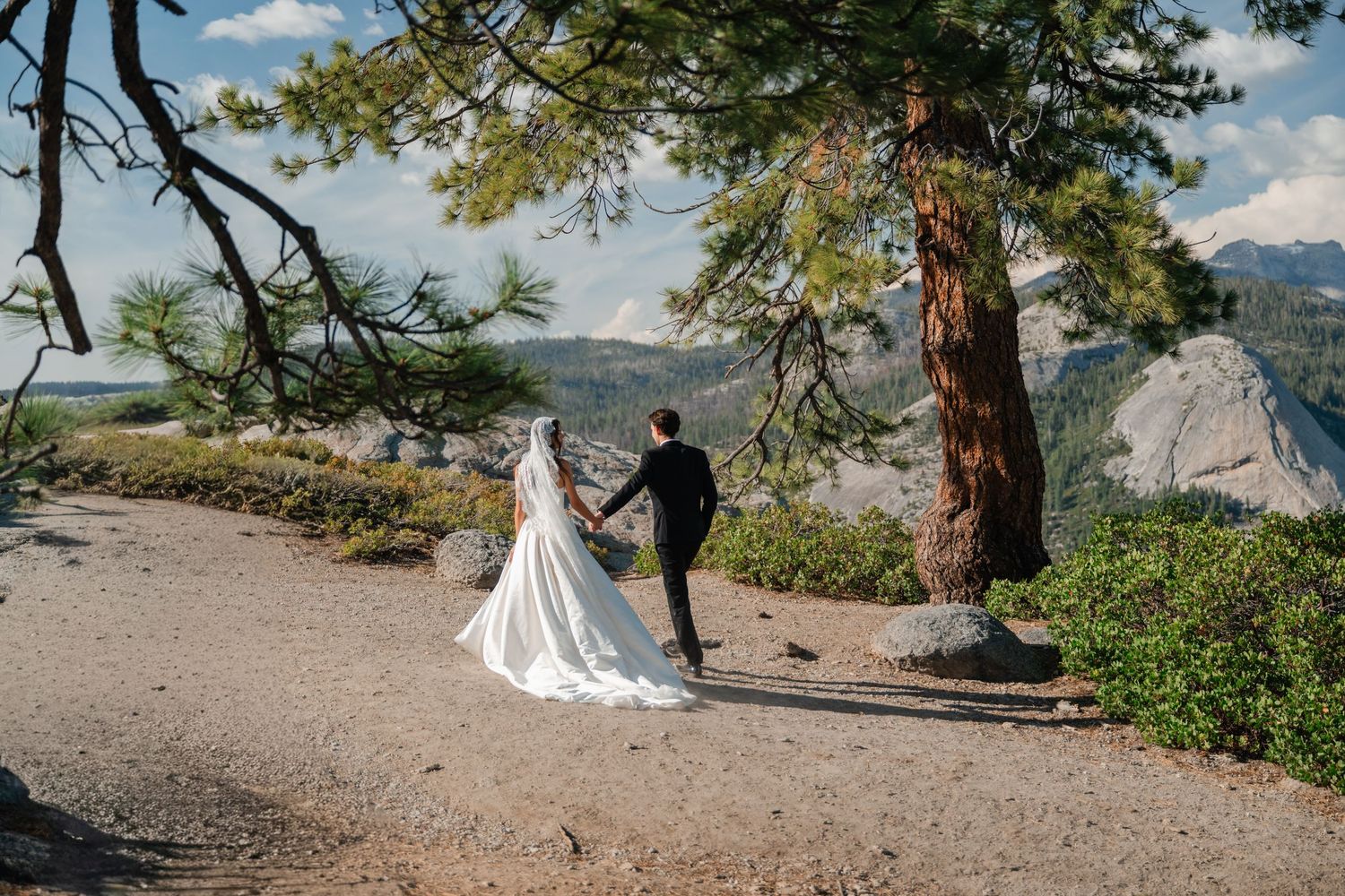 Bride and groom hold hands walking toward mountain vista at Yosemite wedding, tall pine trees framing scenic landscape.