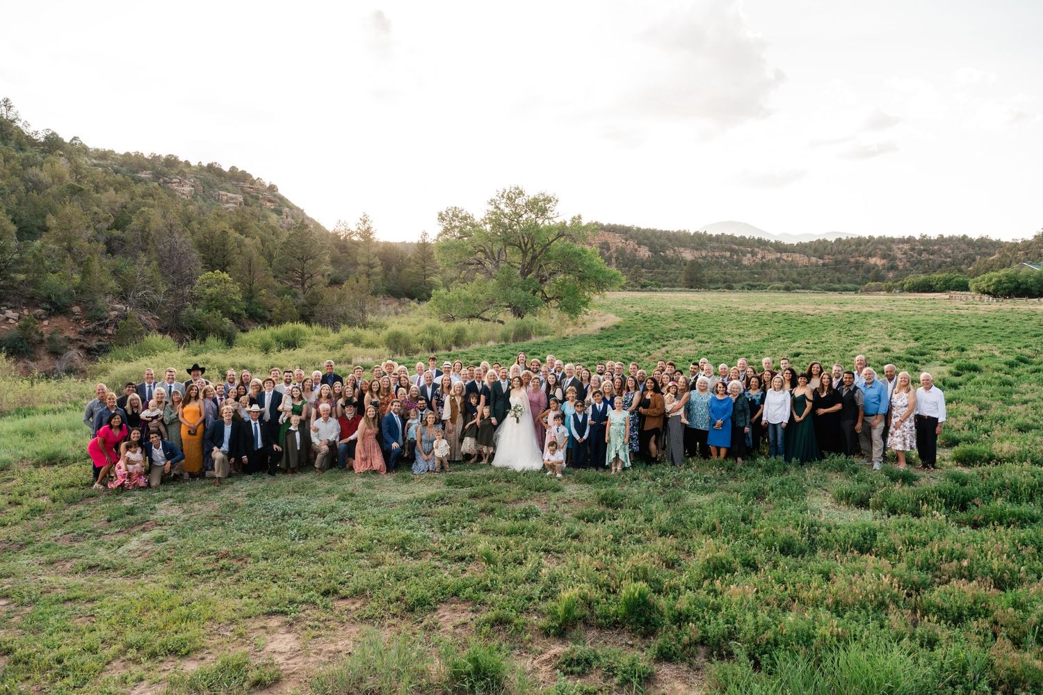 Large wedding group photo taken in green meadow with rolling hills and trees in background.