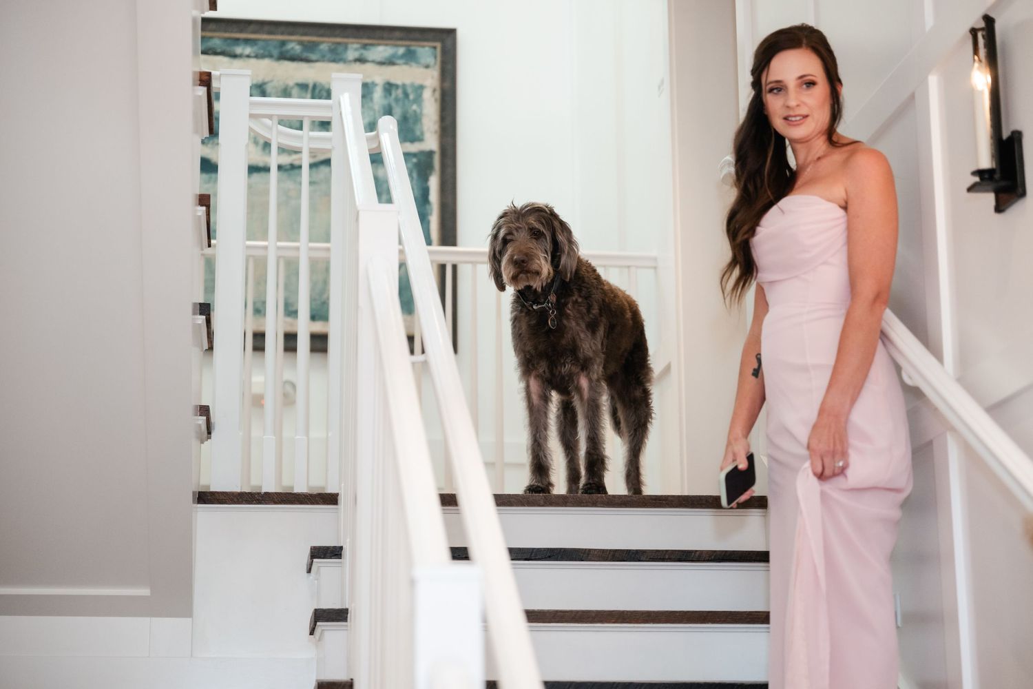 Large brown dog standing on white staircase in elegant home interior.