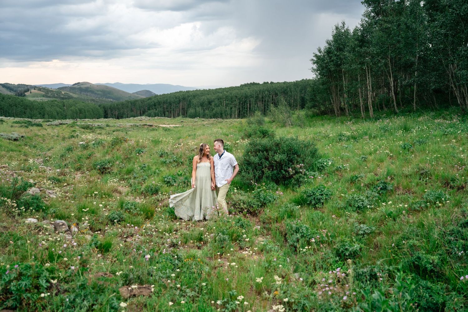 A scenic mountain landscape with wildflower meadows and forest under cloudy skies.