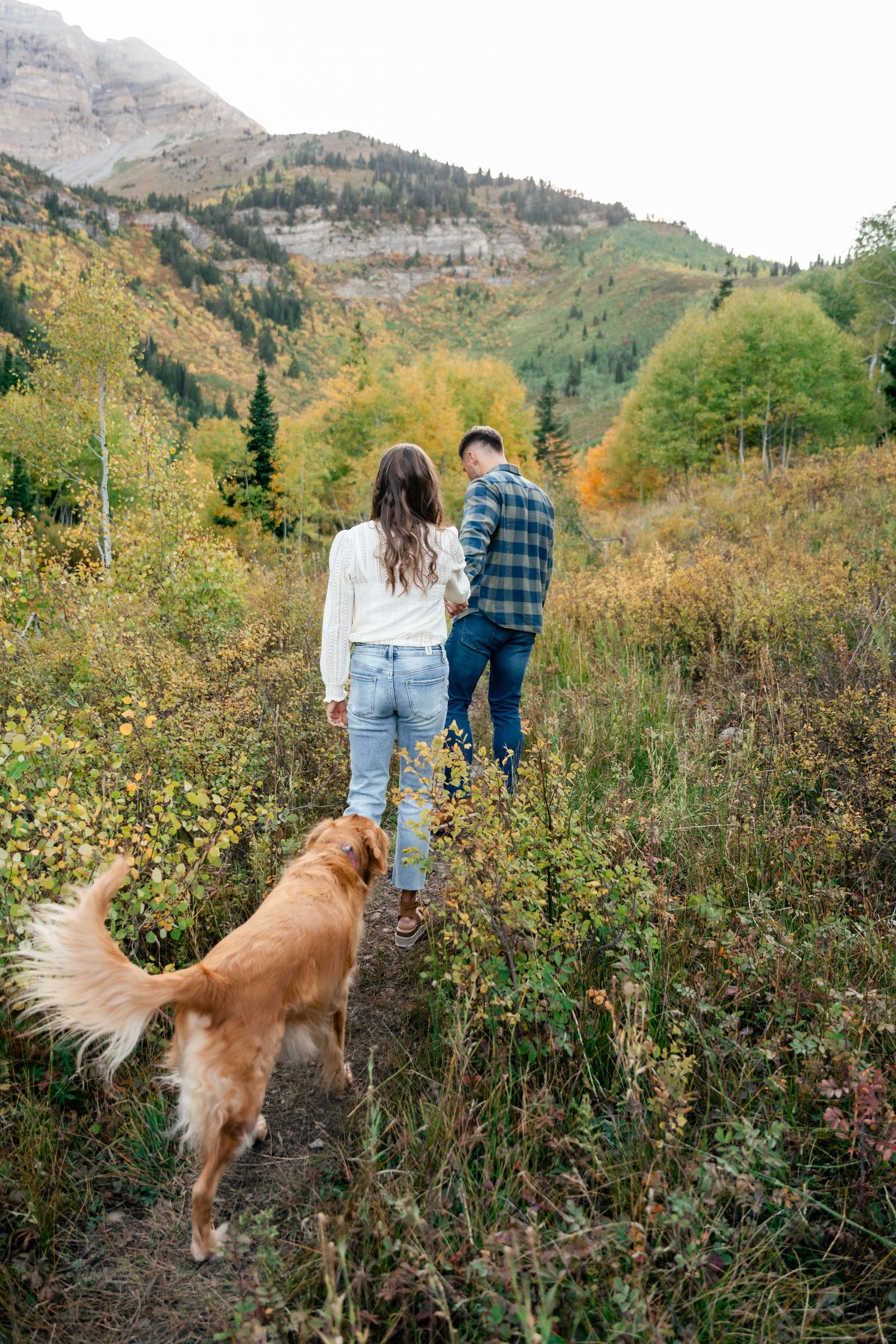 A couple hikes a mountain trail with their golden retriever dog amid autumn foliage in a scenic landscape.