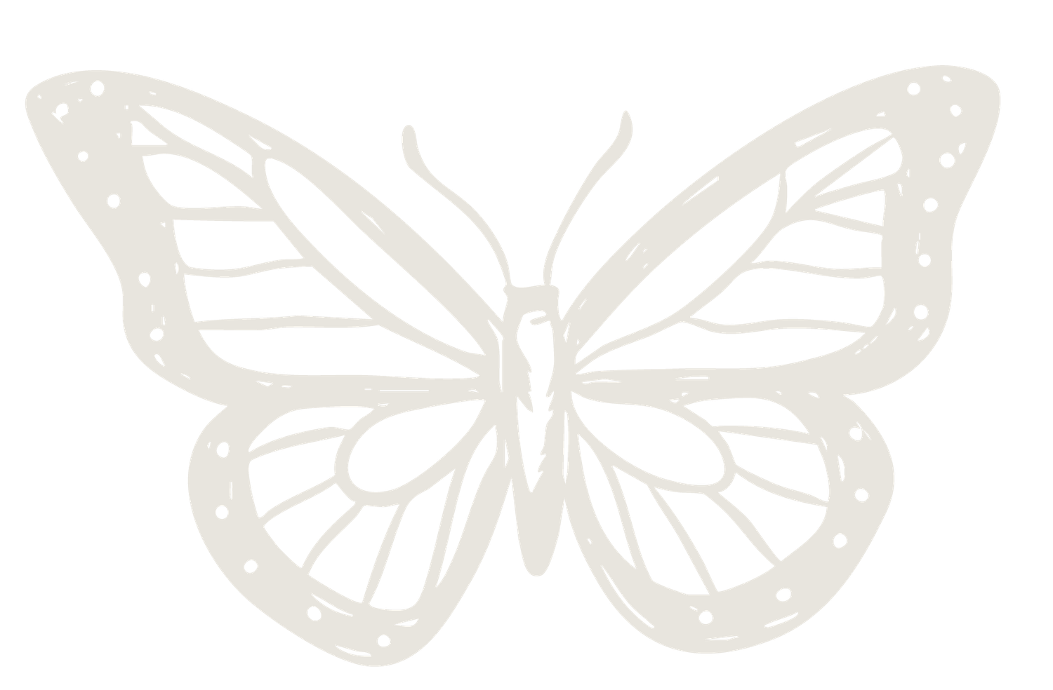 A delicate white butterfly with intricate wing patterns and decorative dot details on a soft white background.