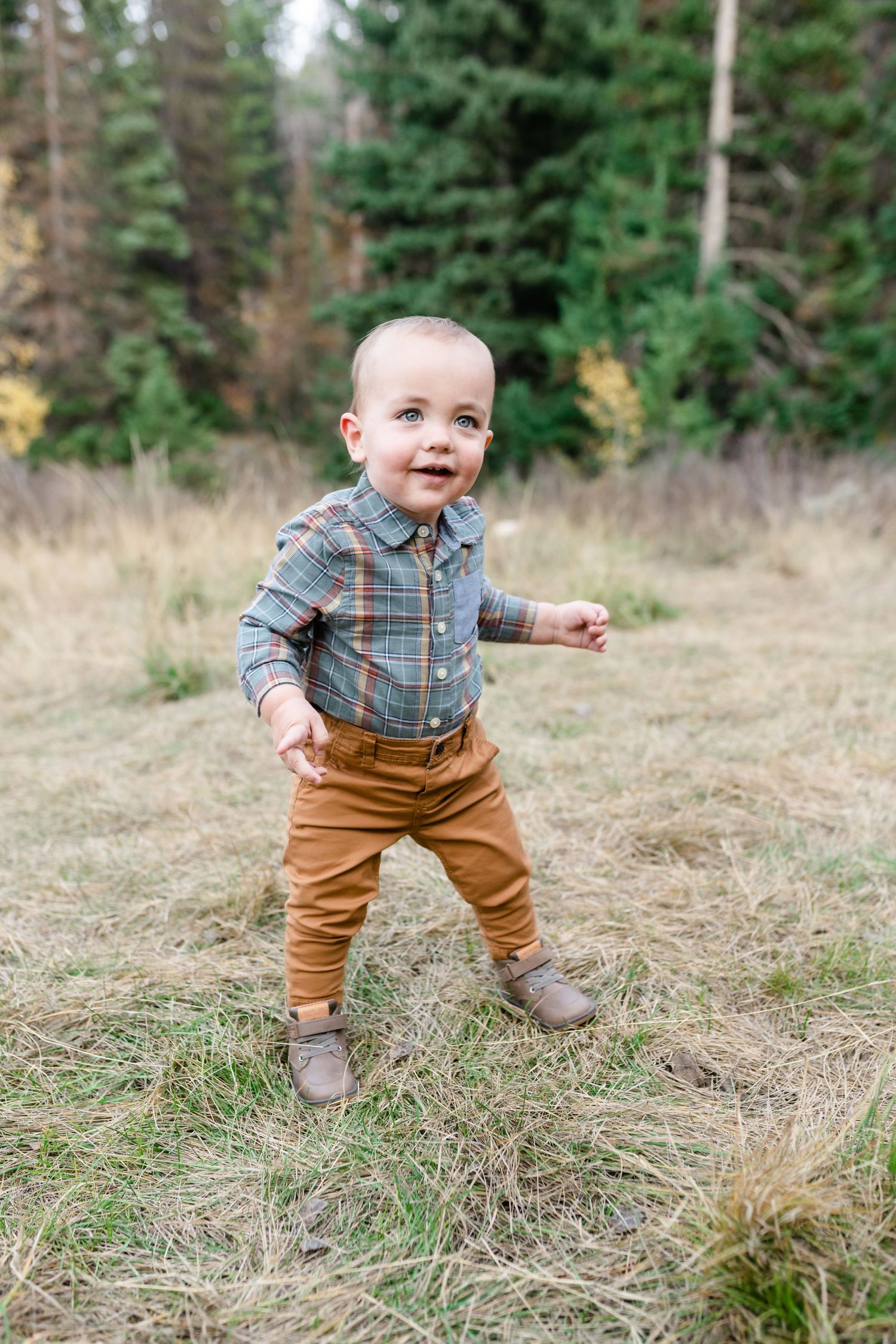 Small child wearing plaid shirt and brown pants plays in a grassy field with evergreen trees in background.