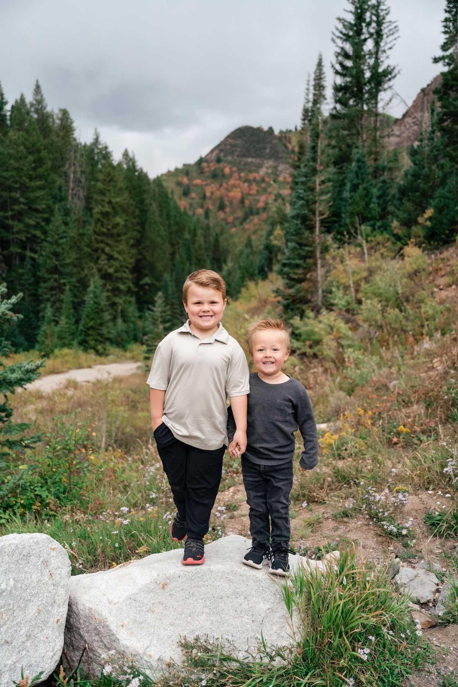 Two children standing on rocky outcrop with mountain landscape and evergreen forest behind them.