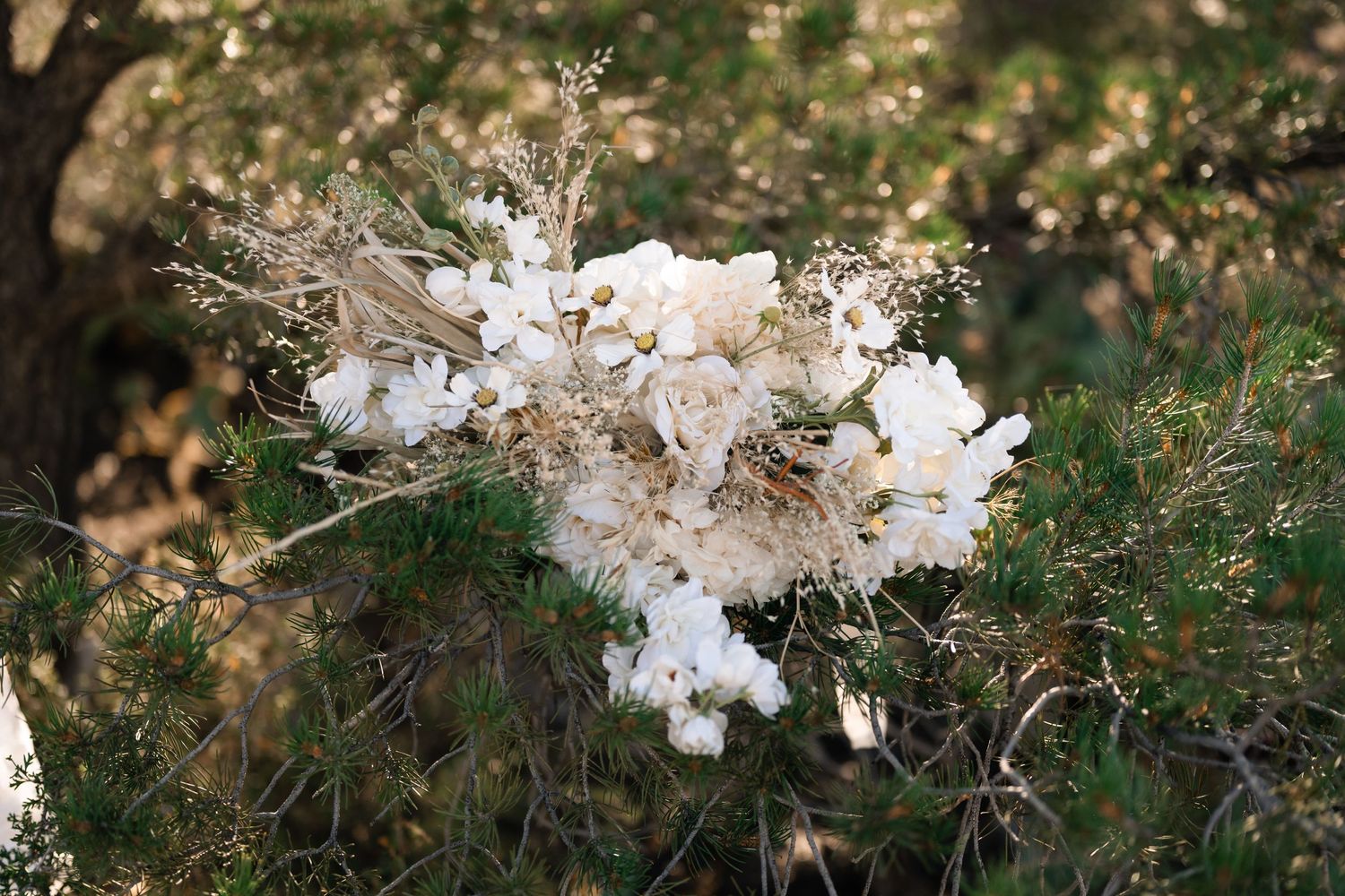 dried bridal bouquet in neutral colors in the desert foliage